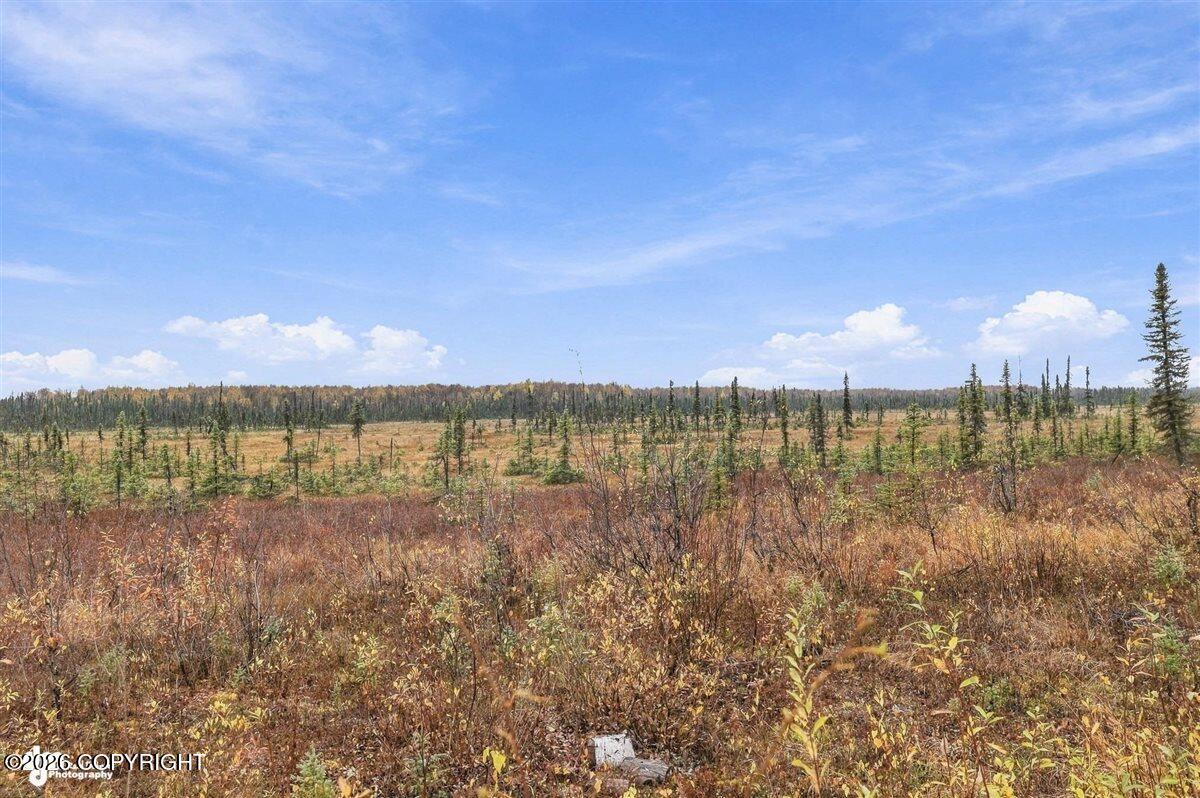 48324 S Brown Bear Road Property Photo 23