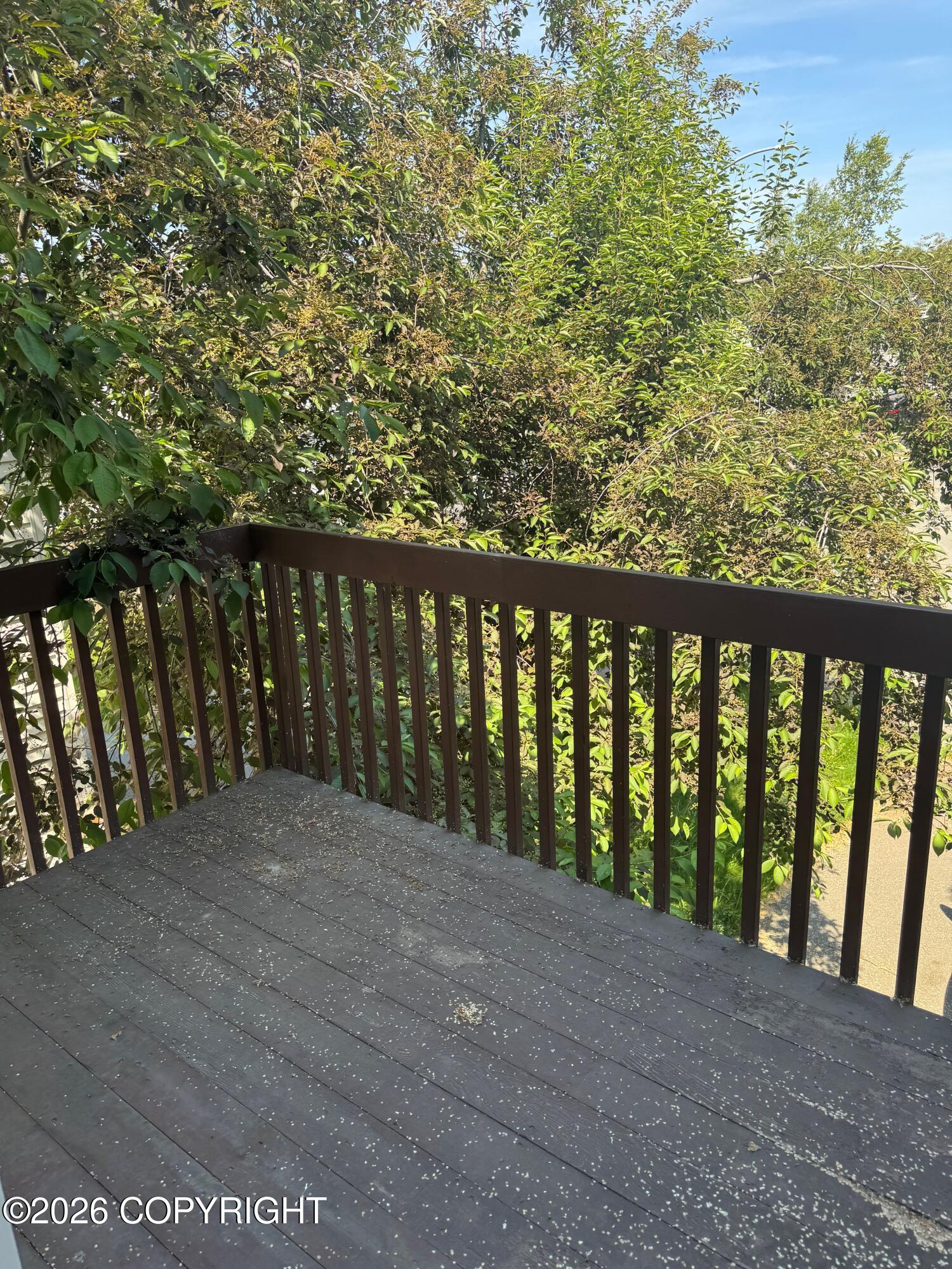2924 Red Currant Circle Property Photo 10