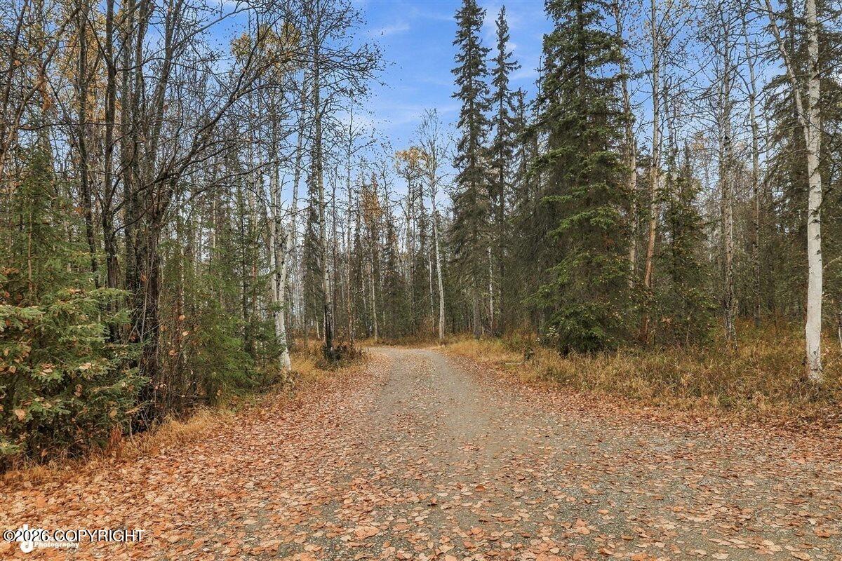 24907 W Lucky Shot Trail Property Photo 35