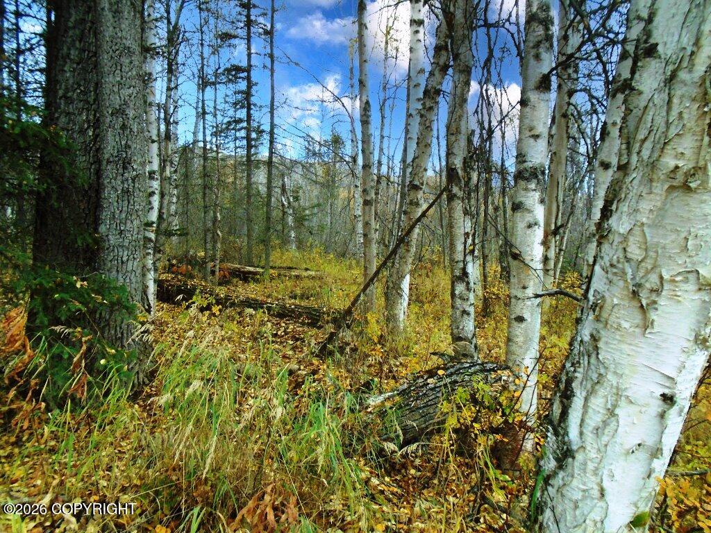 C002 King River Property Photo 3