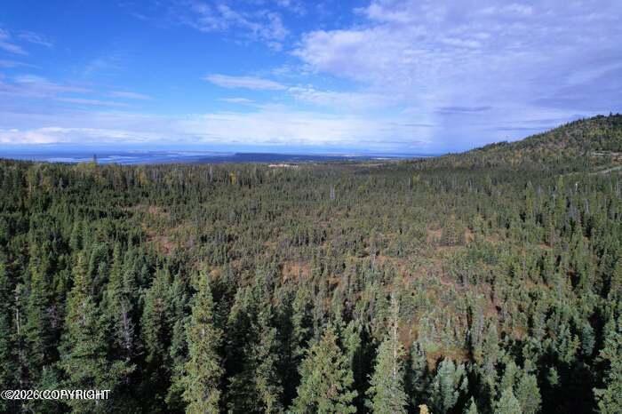 15639 Carl Street Property Photo 1