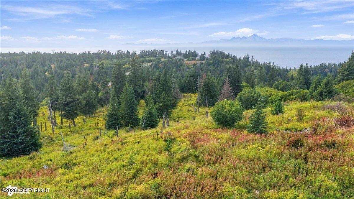 28279 Sterling Highway Property Photo 79