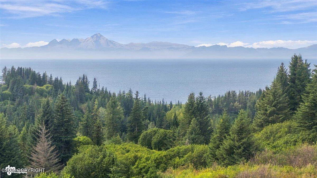 28279 Sterling Highway Property Photo 81