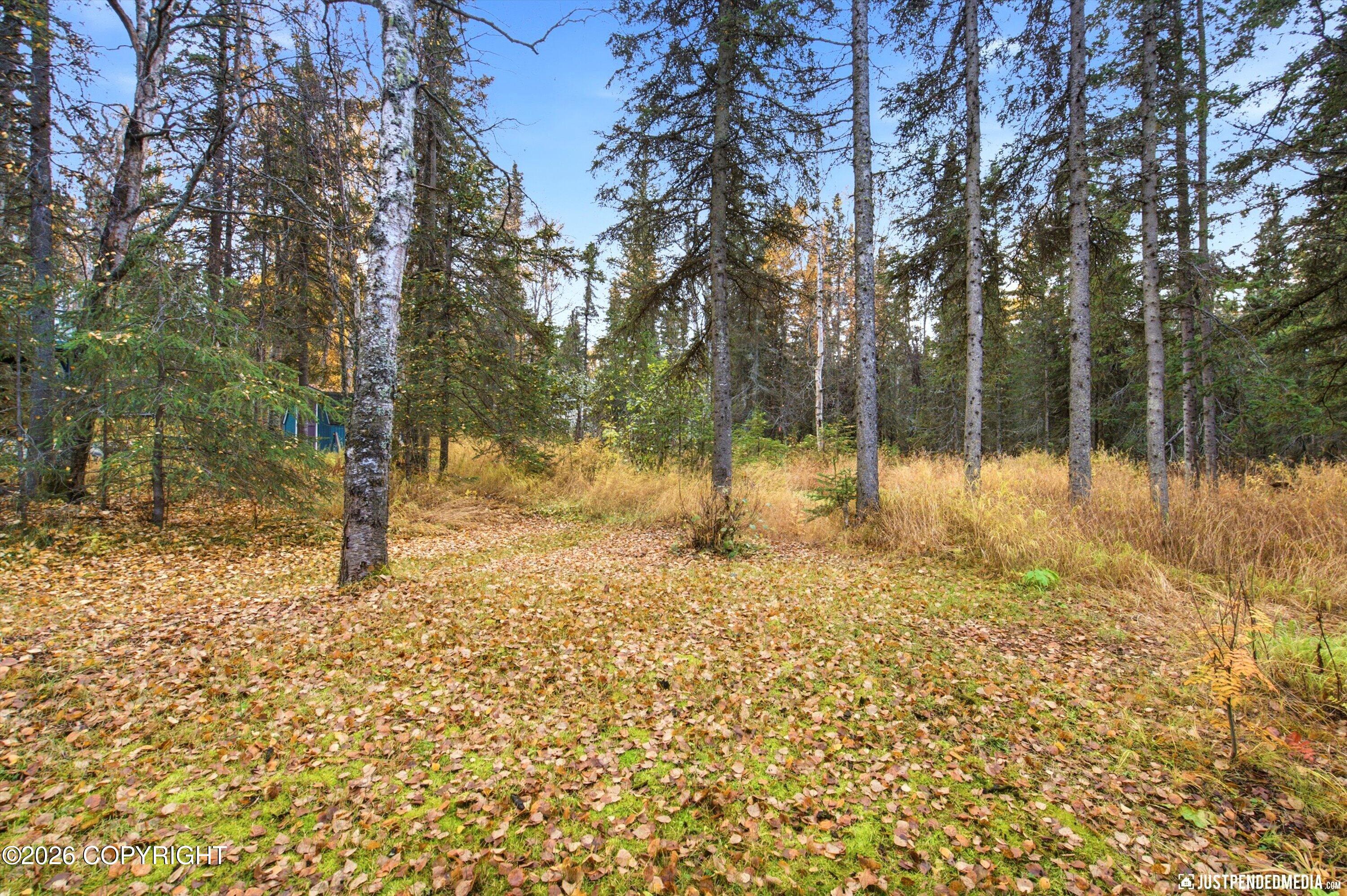 10020 Lone Tree Drive Property Photo 3
