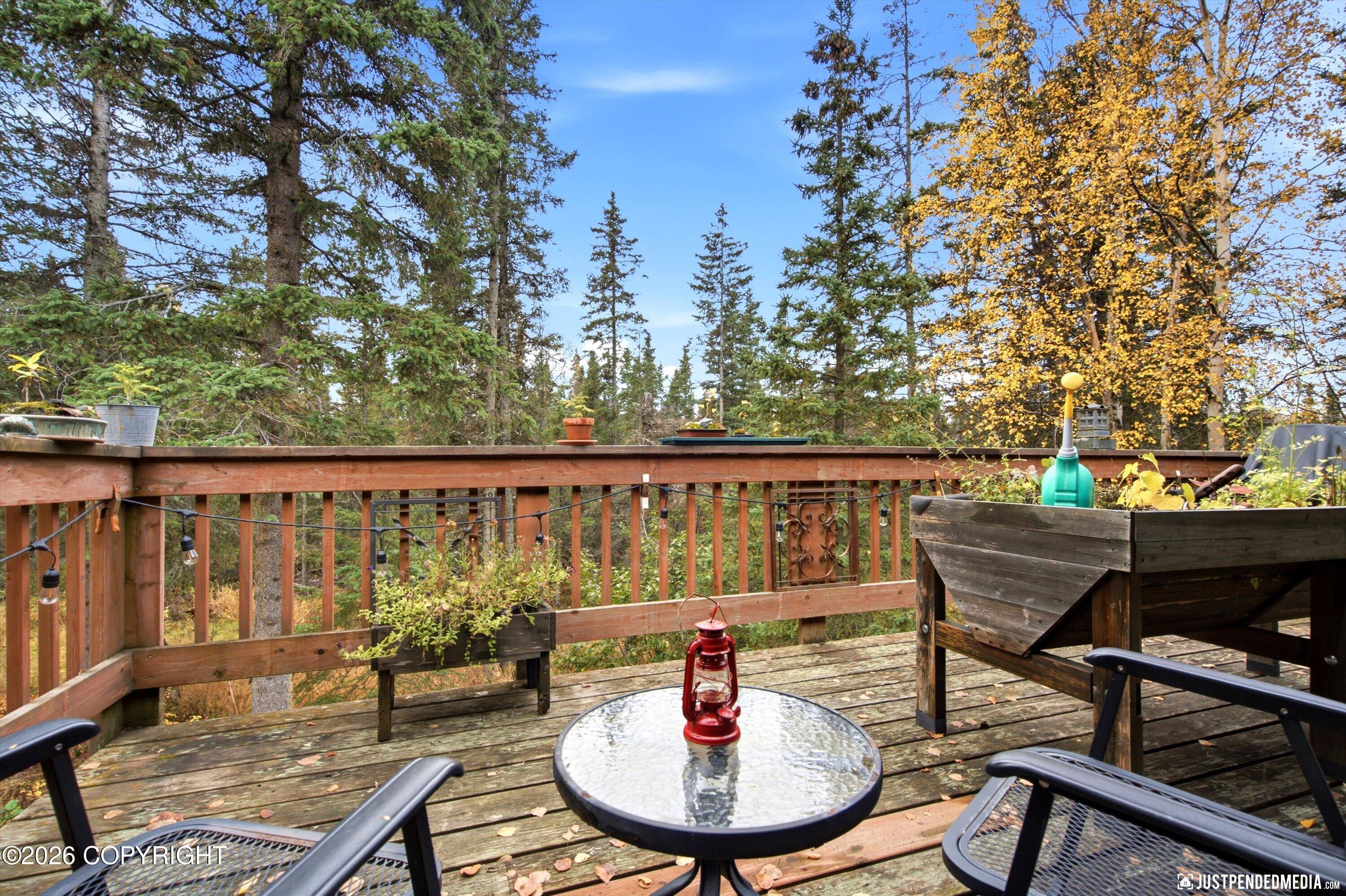 10020 Lone Tree Drive Property Photo 4