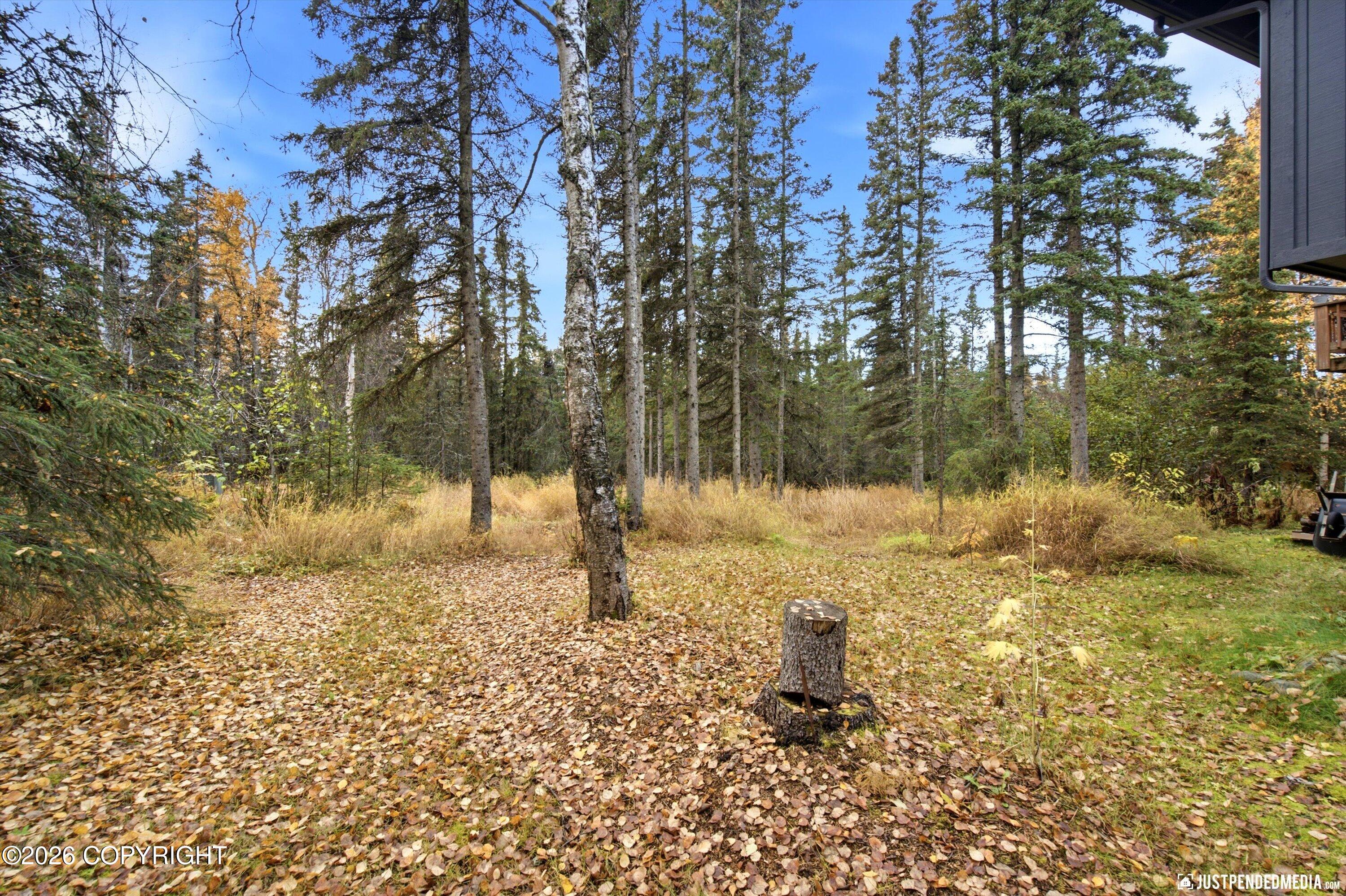 10020 Lone Tree Drive Property Photo 6