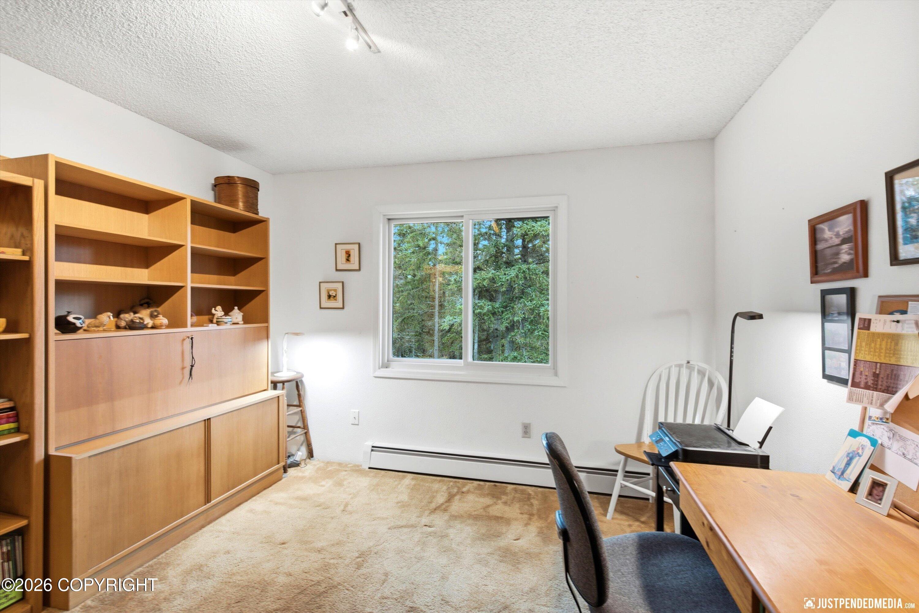 10020 Lone Tree Drive Property Photo 28