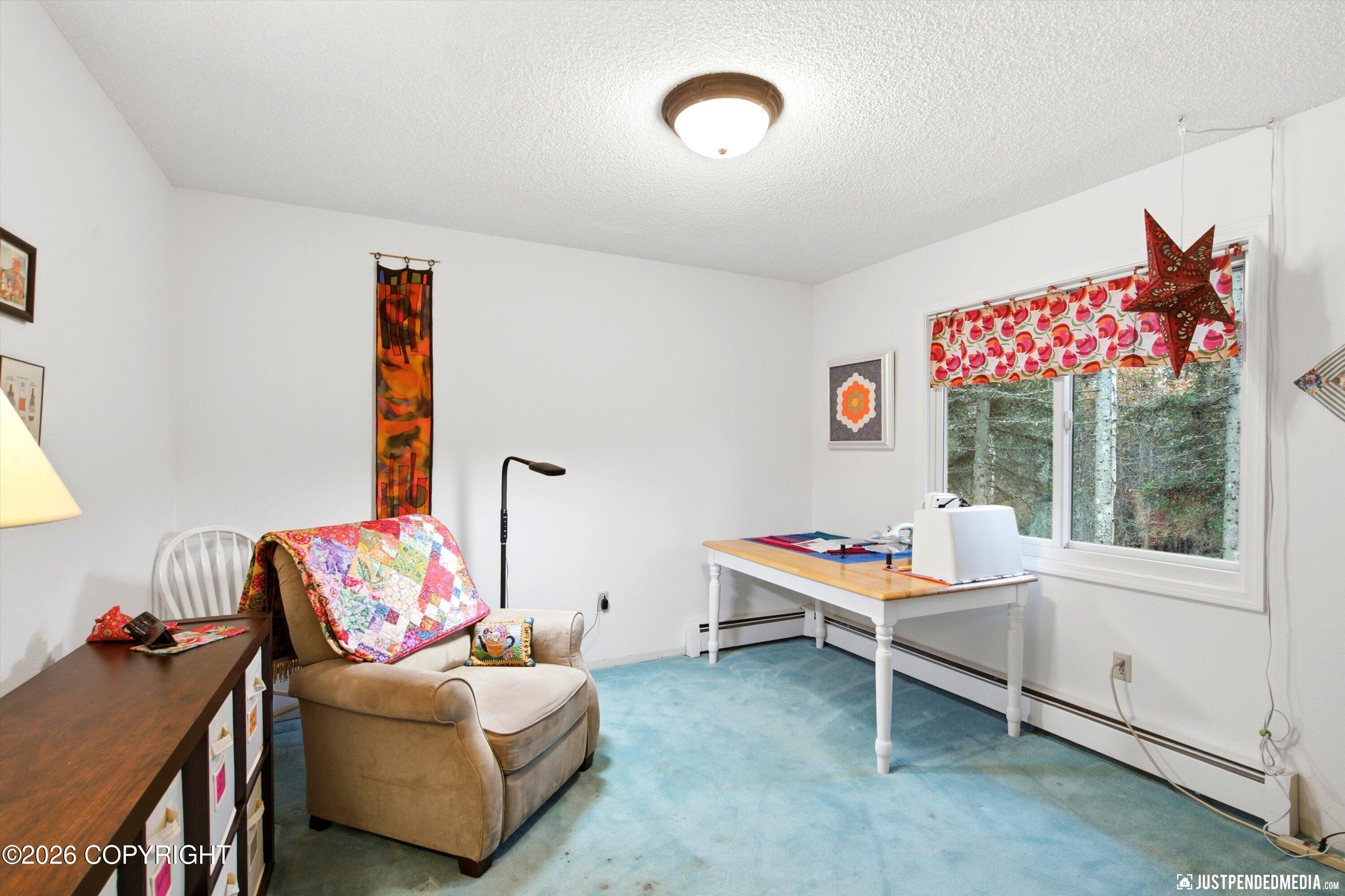 10020 Lone Tree Drive Property Photo 32
