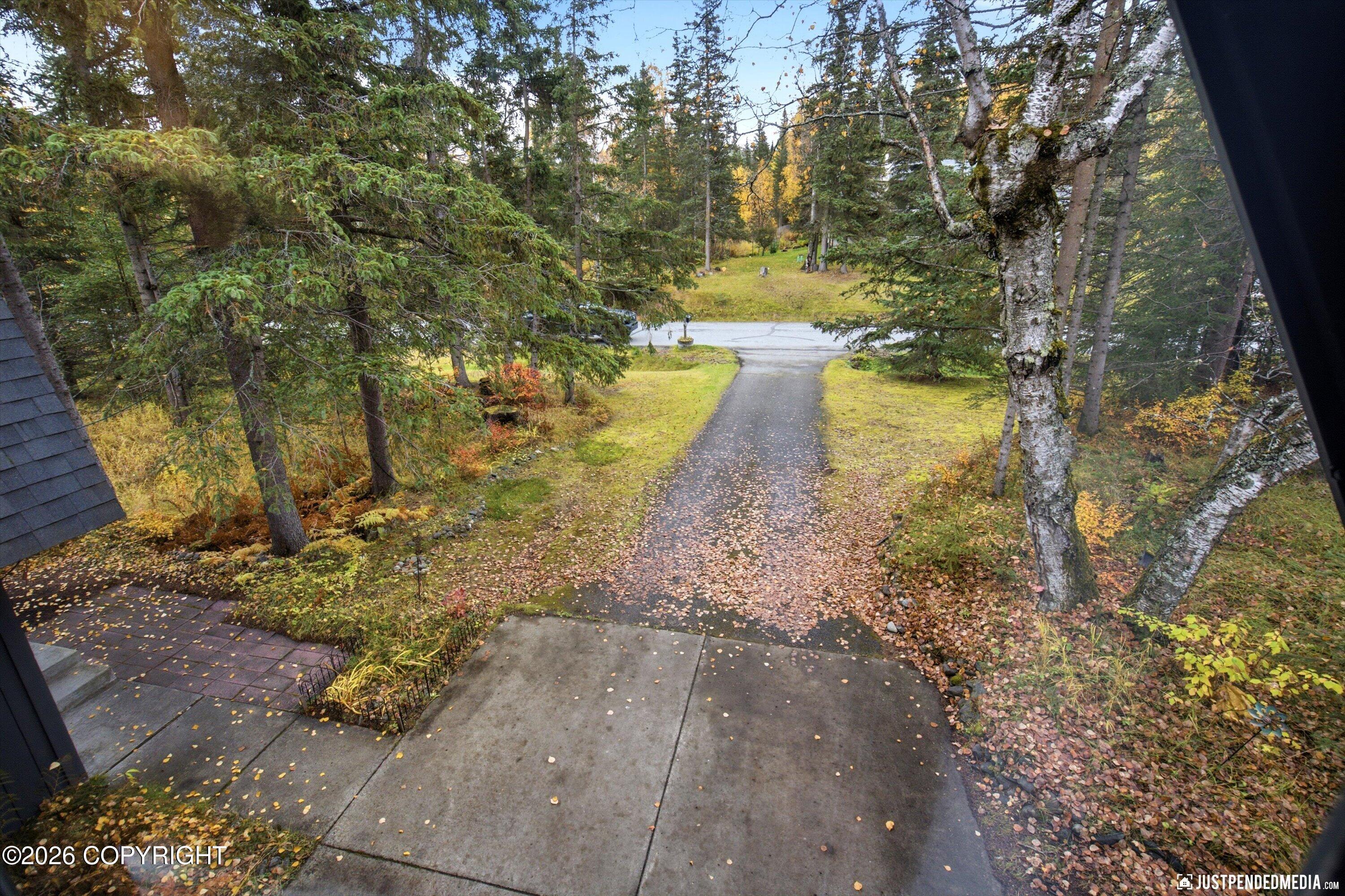 10020 Lone Tree Drive Property Photo 45