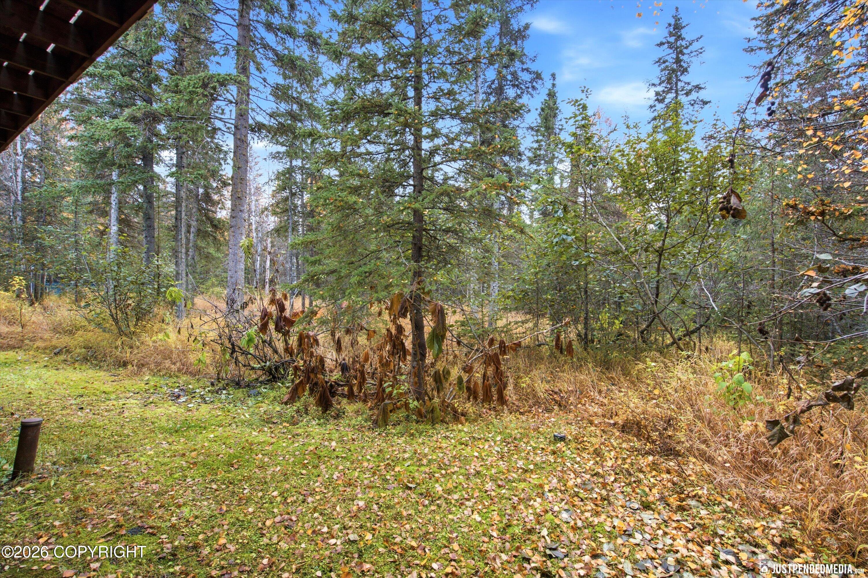 10020 Lone Tree Drive Property Photo 47
