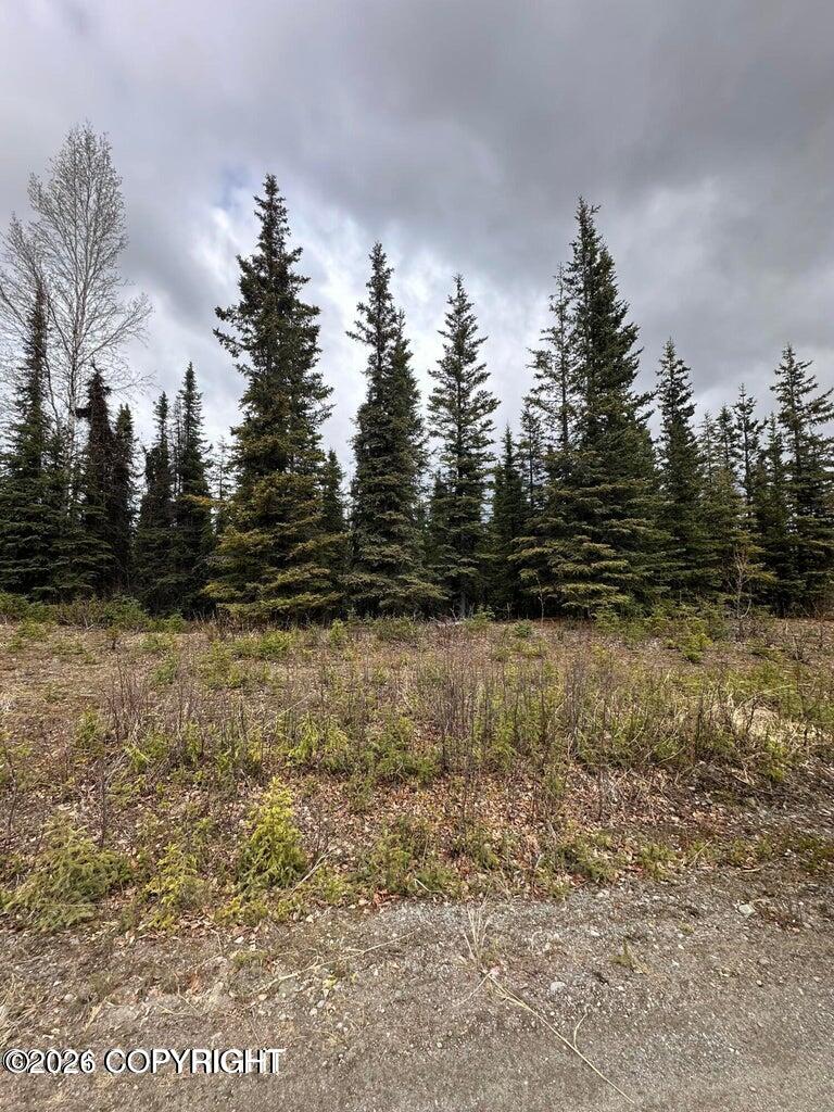 36915 Dutch Landing Loop Property Photo 1