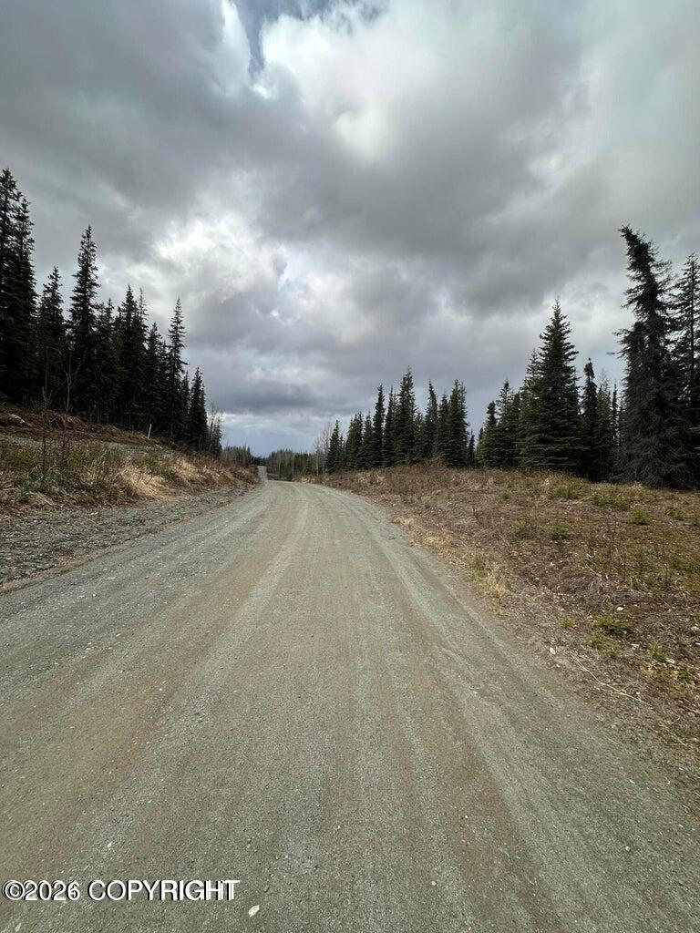 36915 Dutch Landing Loop Property Photo 3