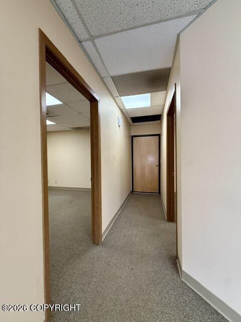 5520 Lake Otis Parkway 103 Property Photo 6