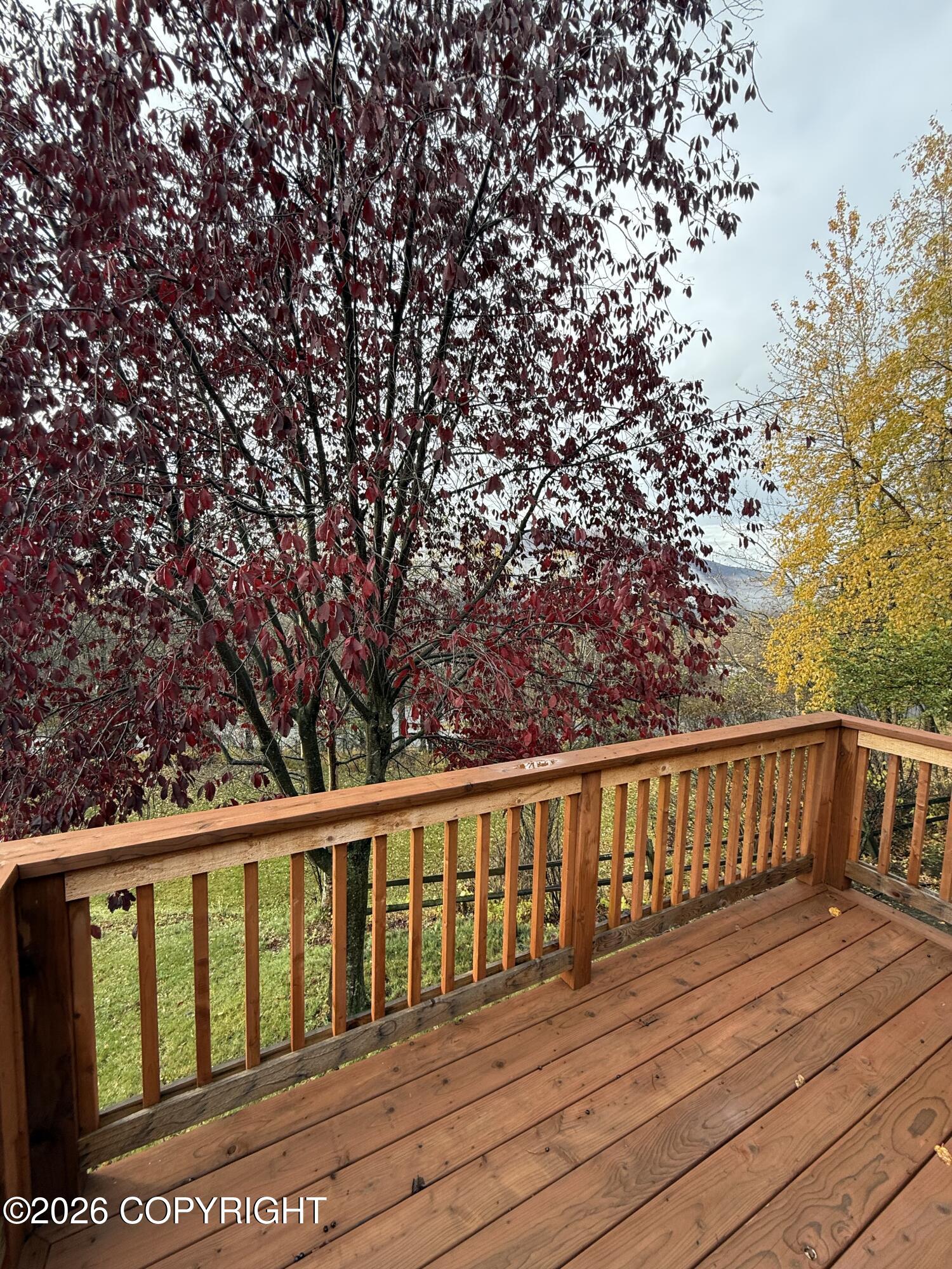 24313 Hamann Road Property Photo 13