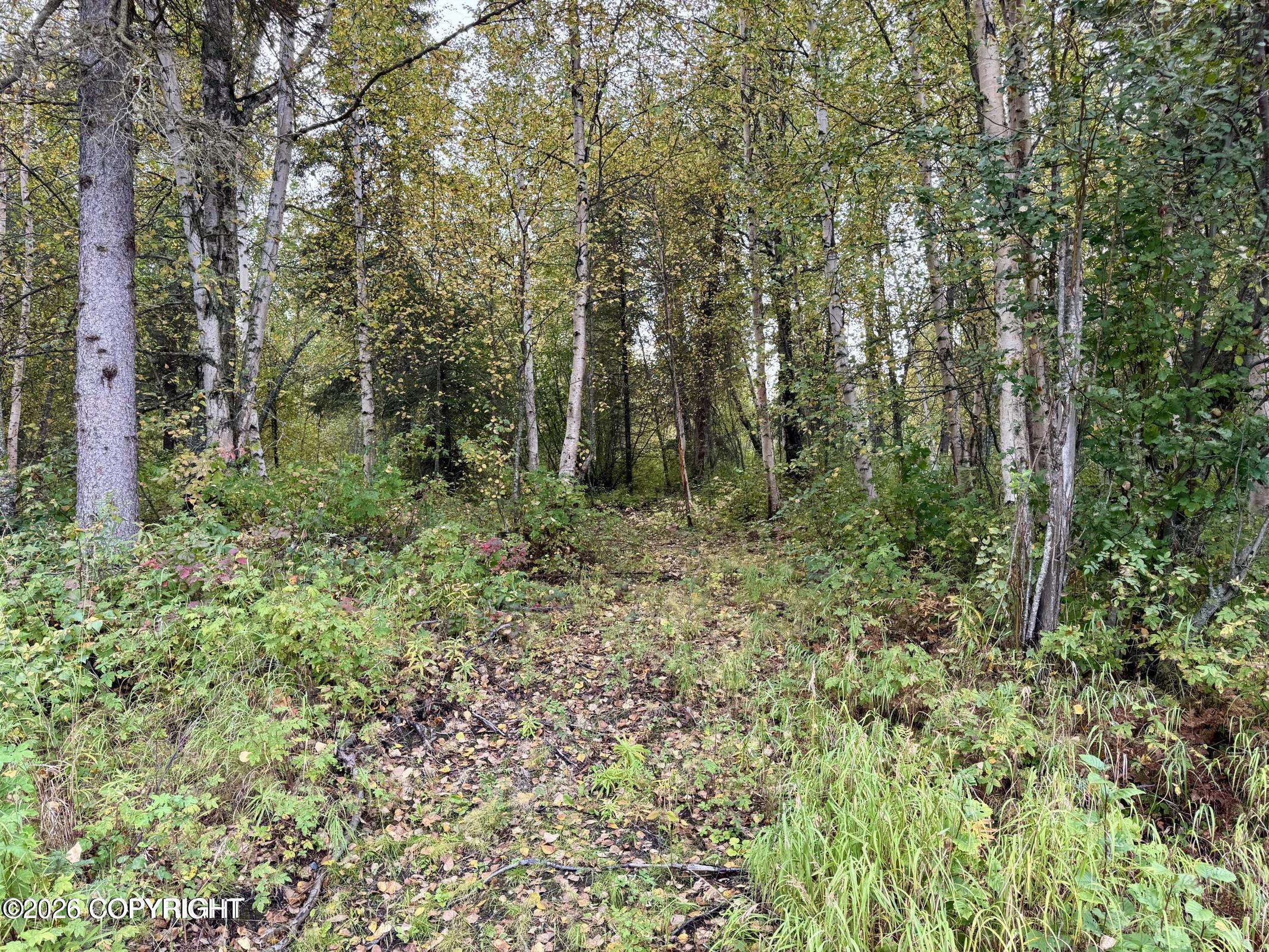 8593 S River Drive Property Photo 4