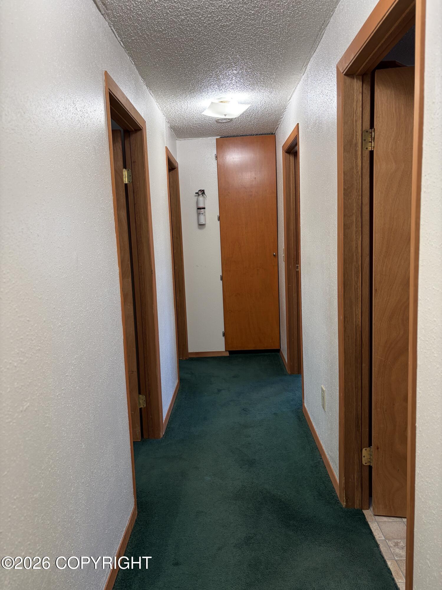 245 Akiak Drive Property Photo 20