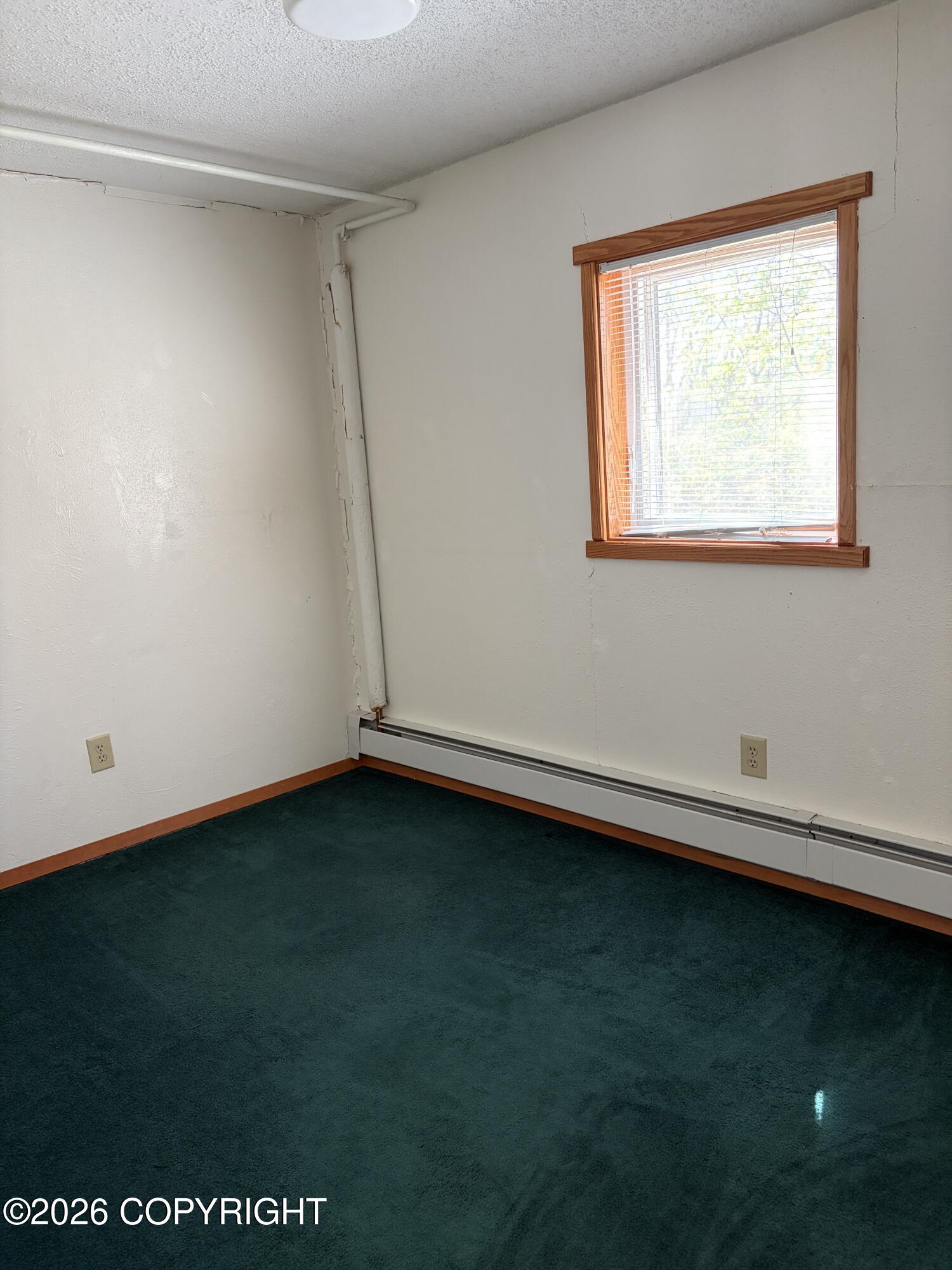 245 Akiak Drive Property Photo 25