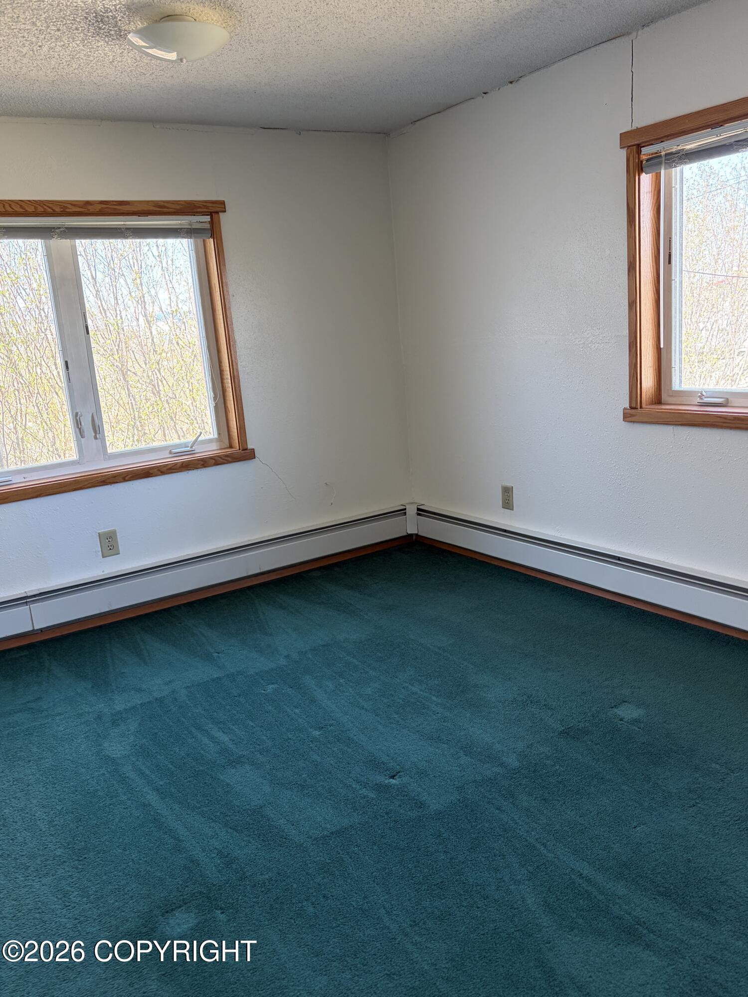 245 Akiak Drive Property Photo 27