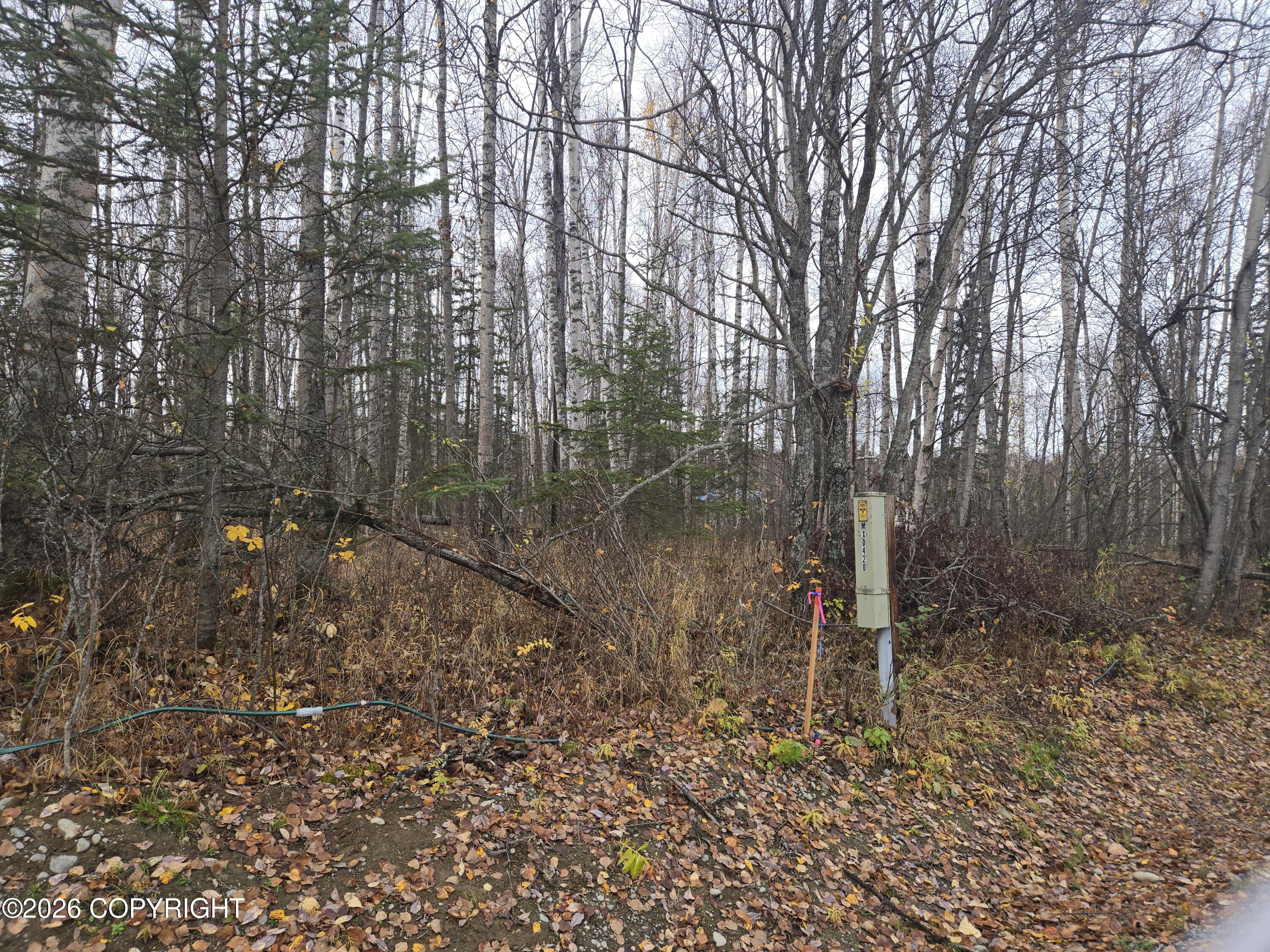 9280 S Overlook Drive Property Photo 2