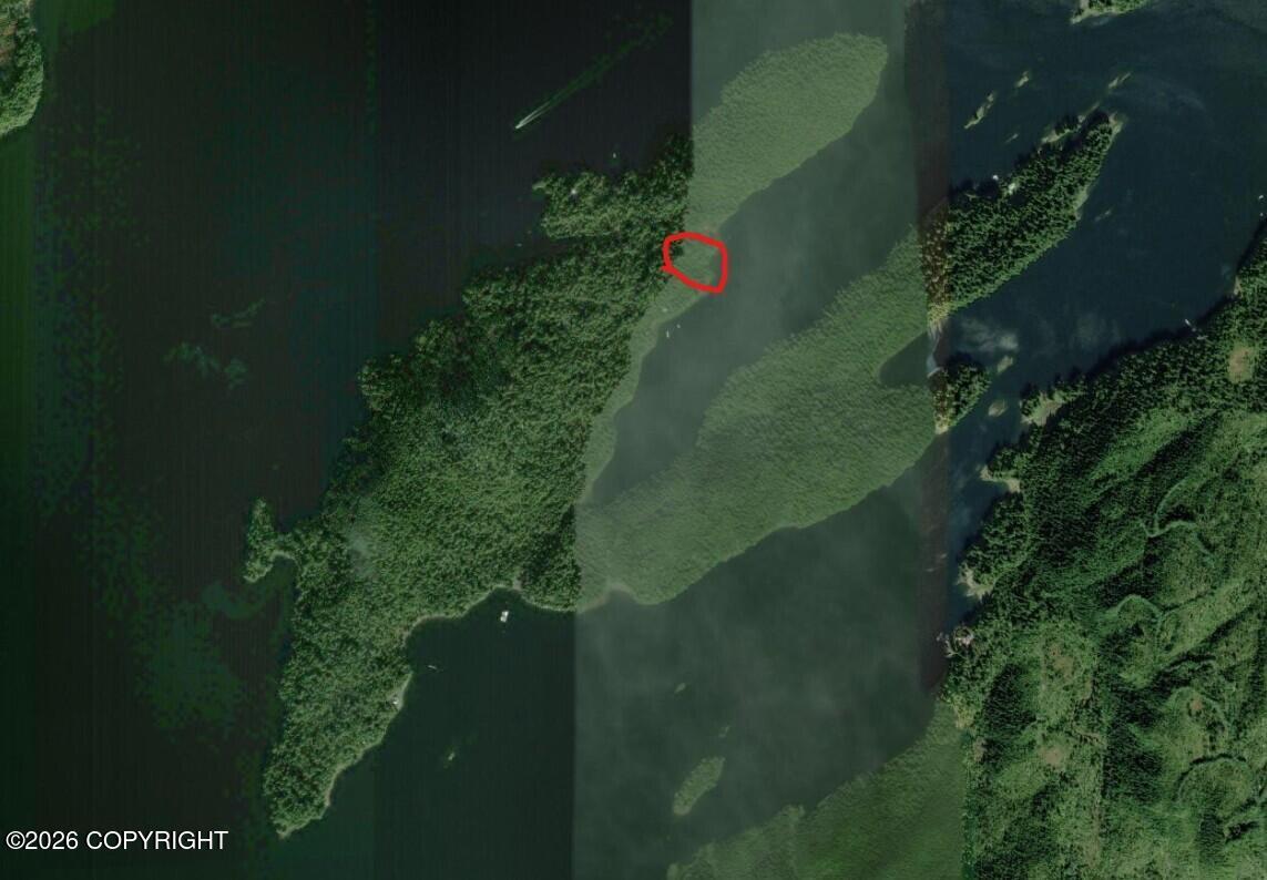 No Bull Island In George Inlet