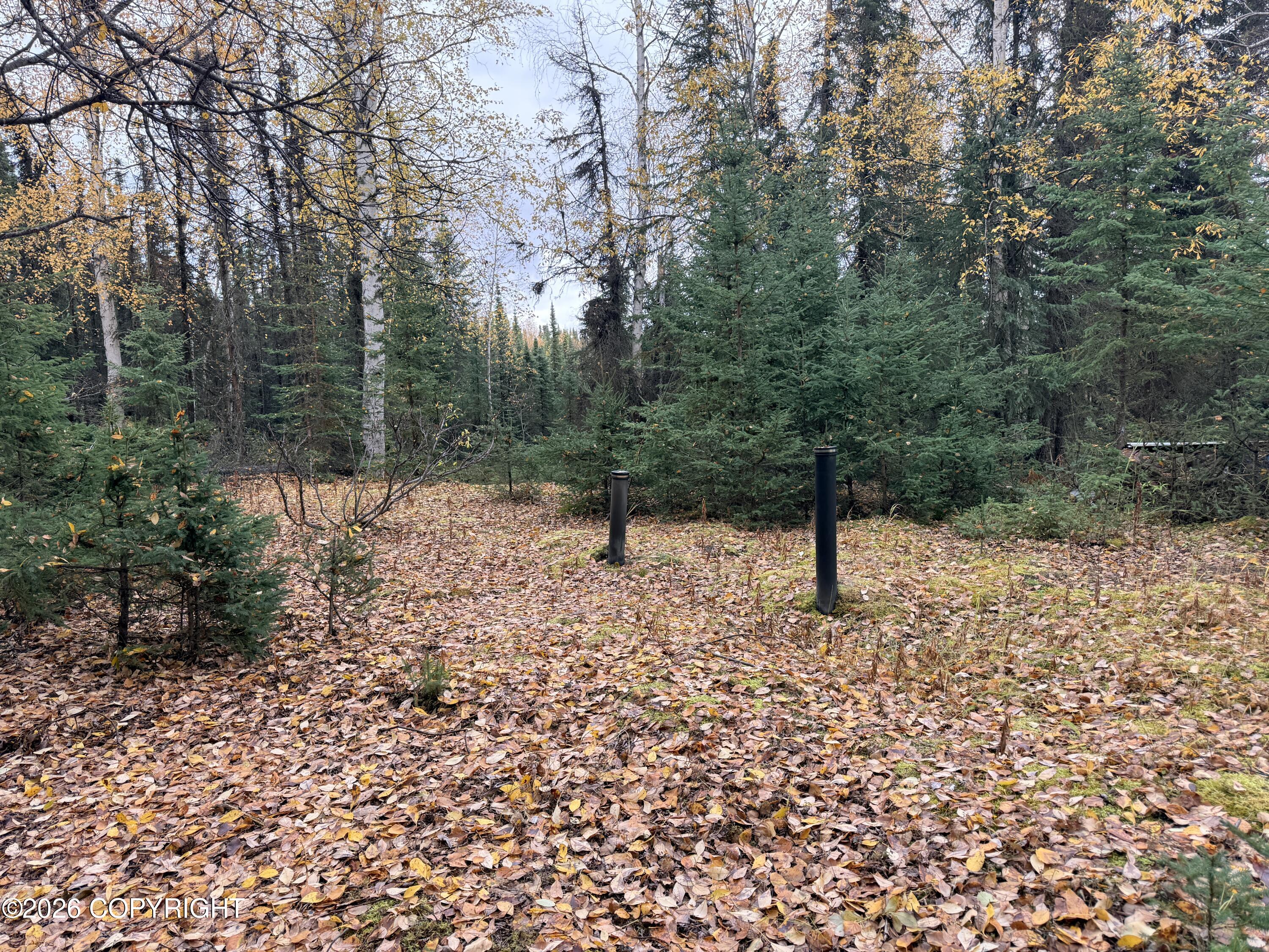 32440 Lakefront Drive Property Photo 2