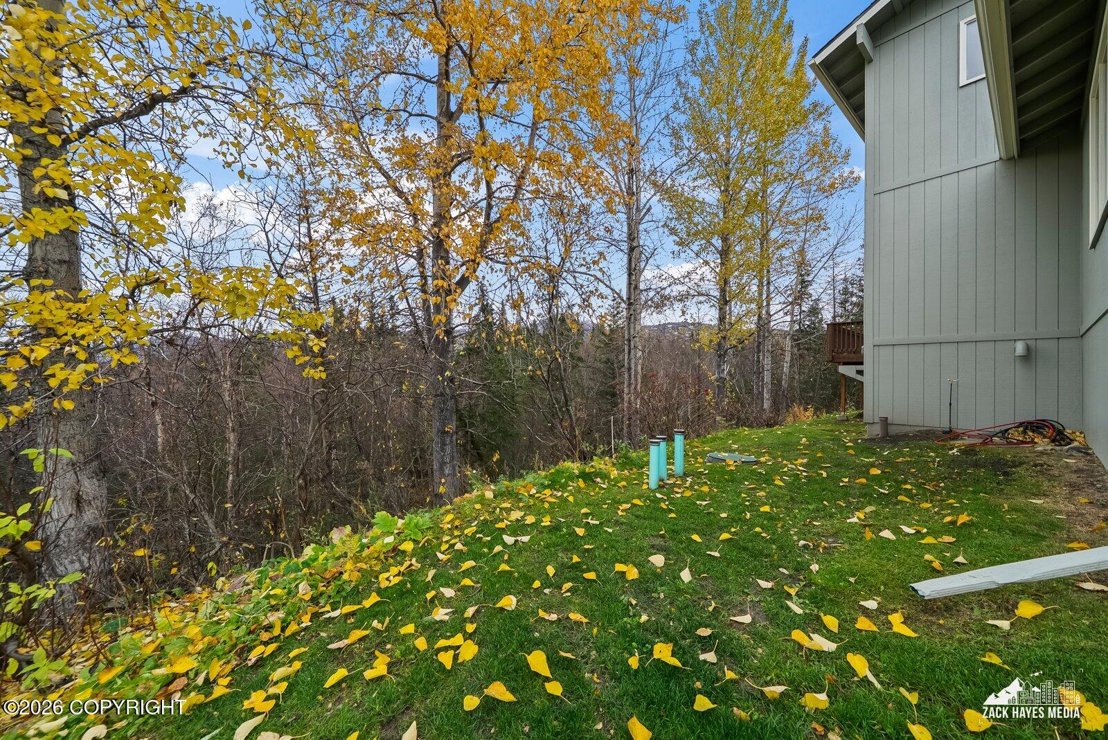 6901 Crooked Tree Drive Property Photo 80