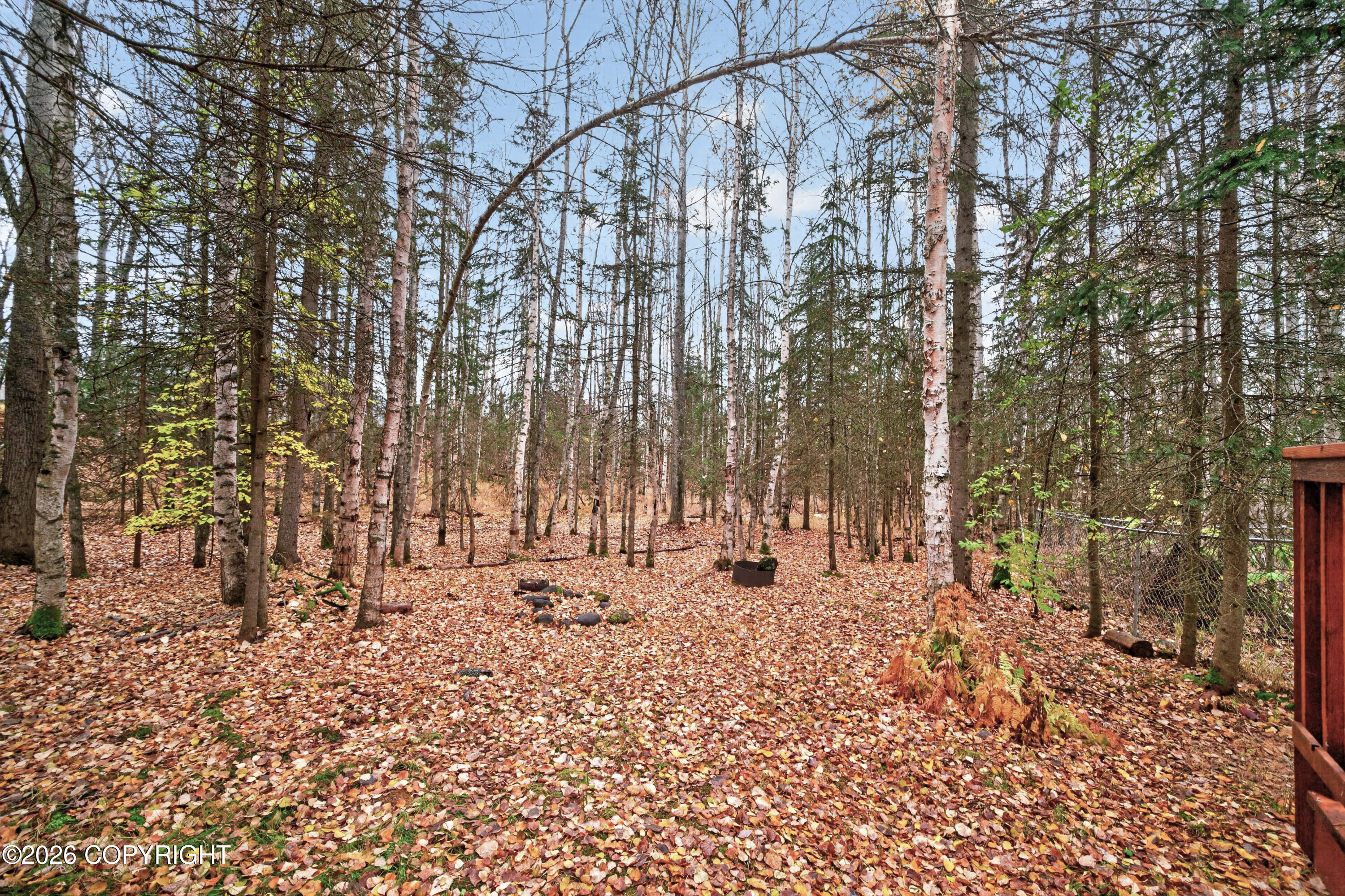 10803 Neacola Circle Property Photo 44
