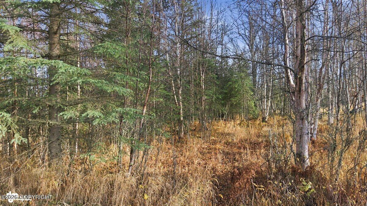 L12 Shay Lynn Circle Property Photo 5