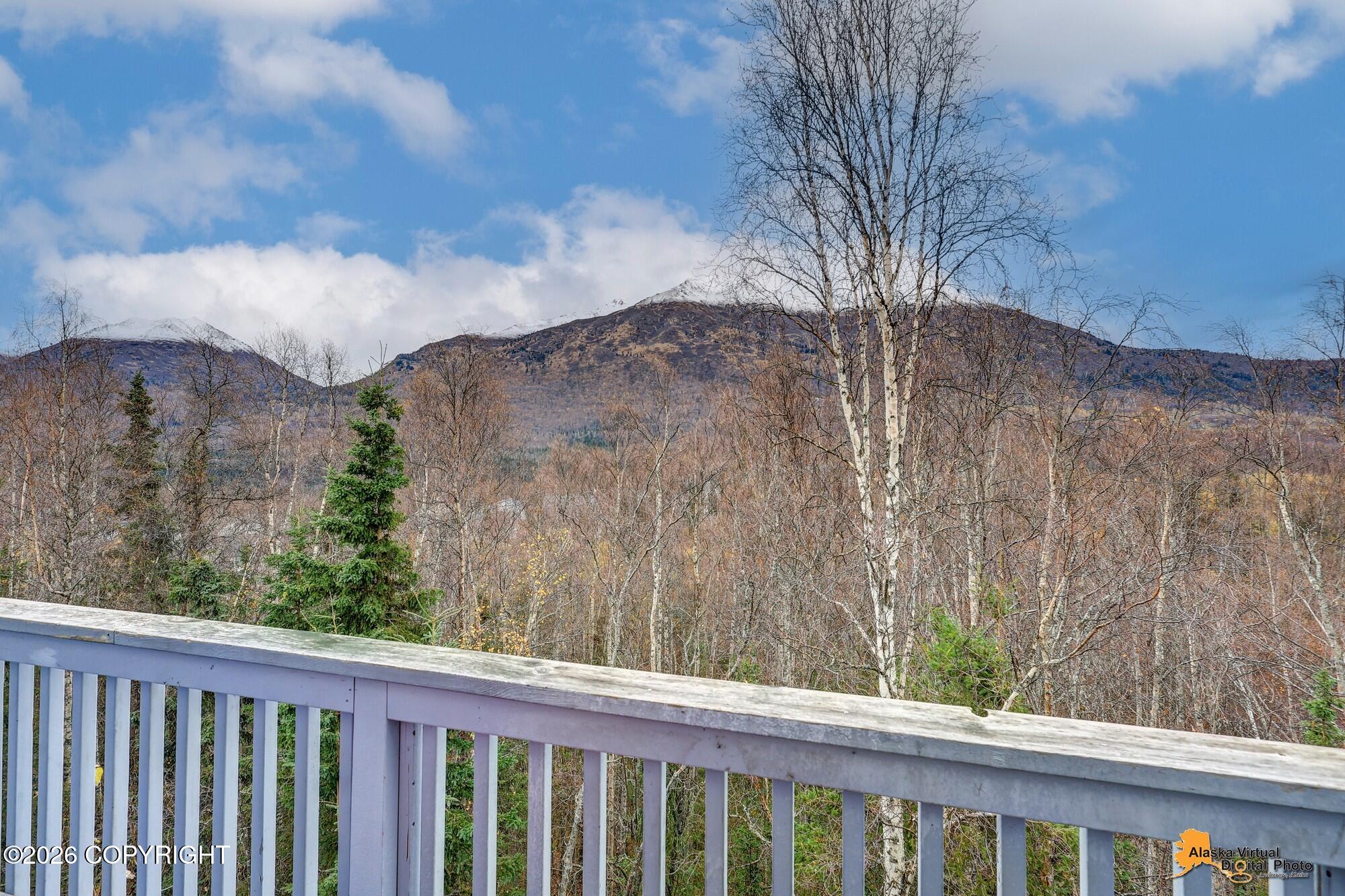 9194 Eagle River Lane Property Photo 14