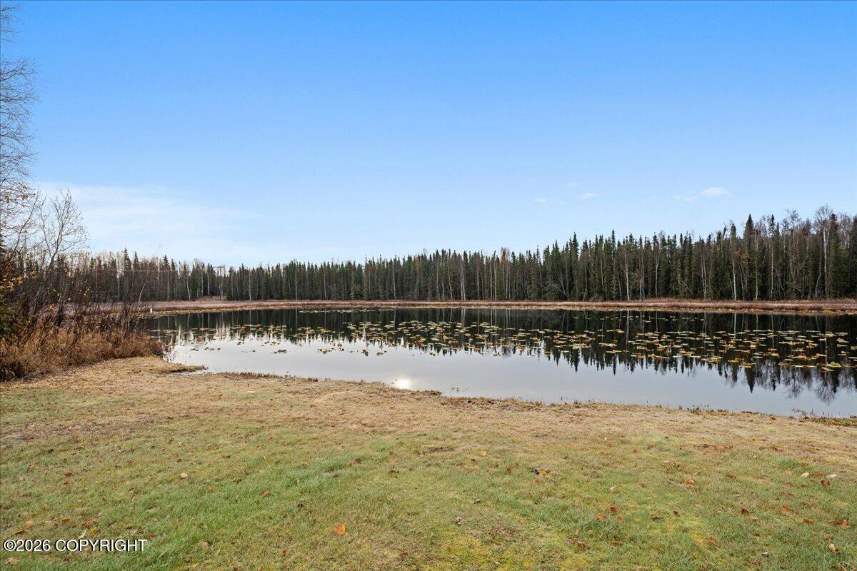 16966 W Parks Highway Property Photo 63