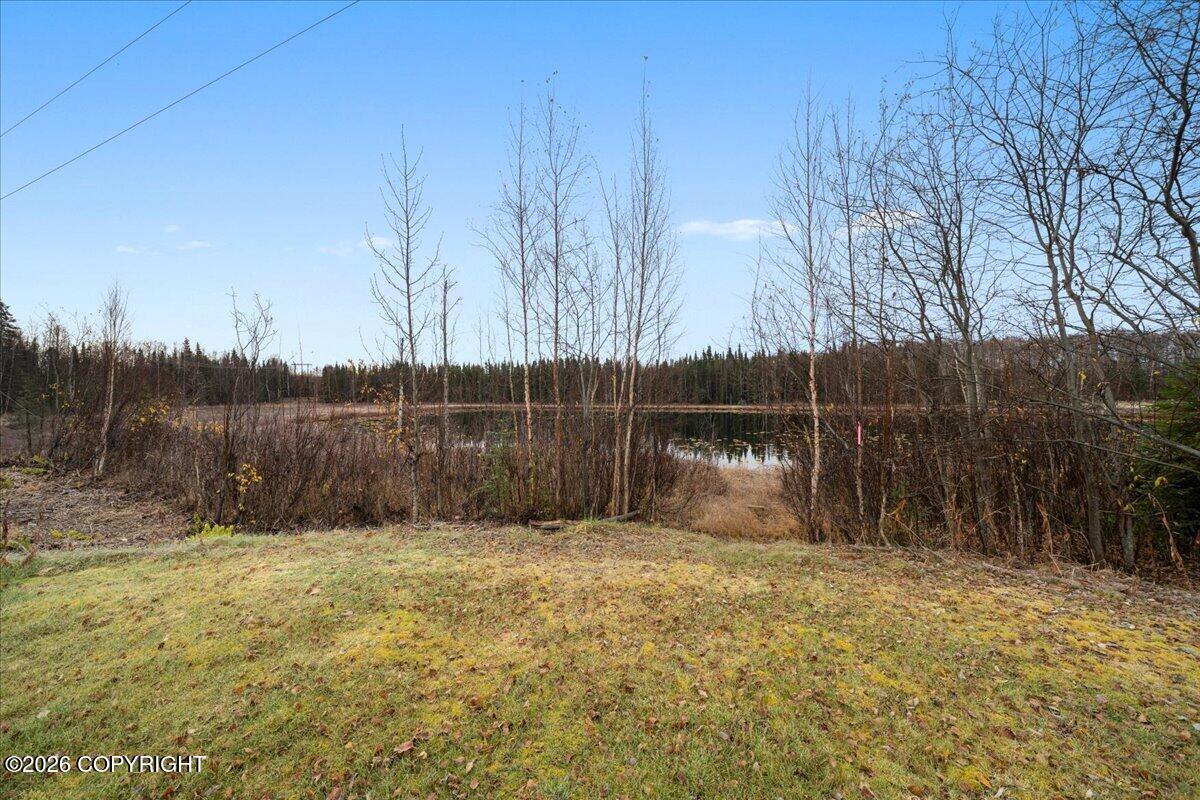 16966 W Parks Highway Property Photo 64