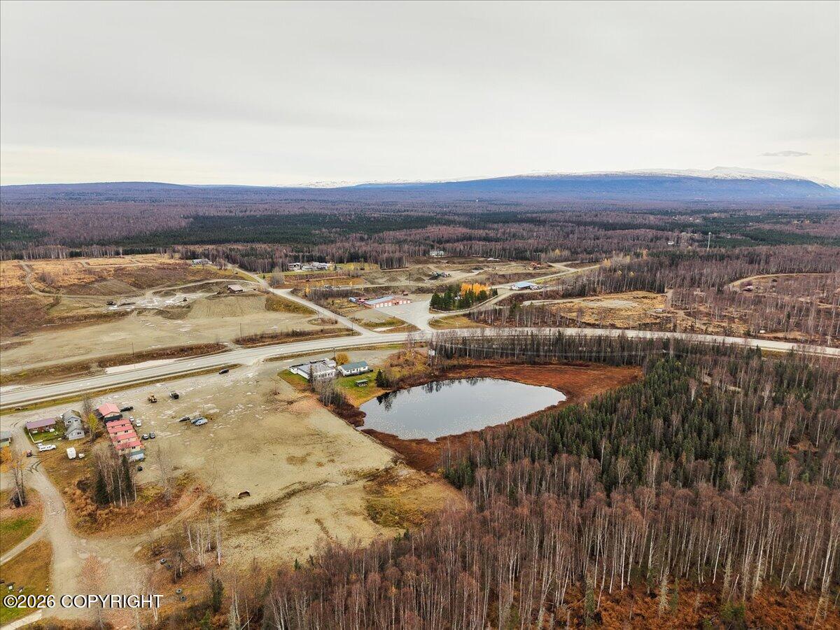 16966 W Parks Highway Property Photo 75