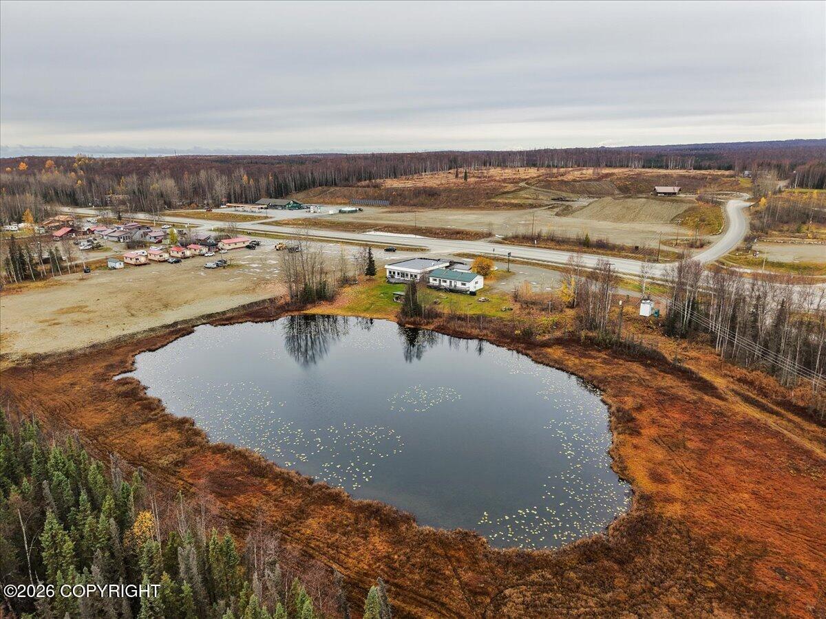 16966 W Parks Highway Property Photo 76