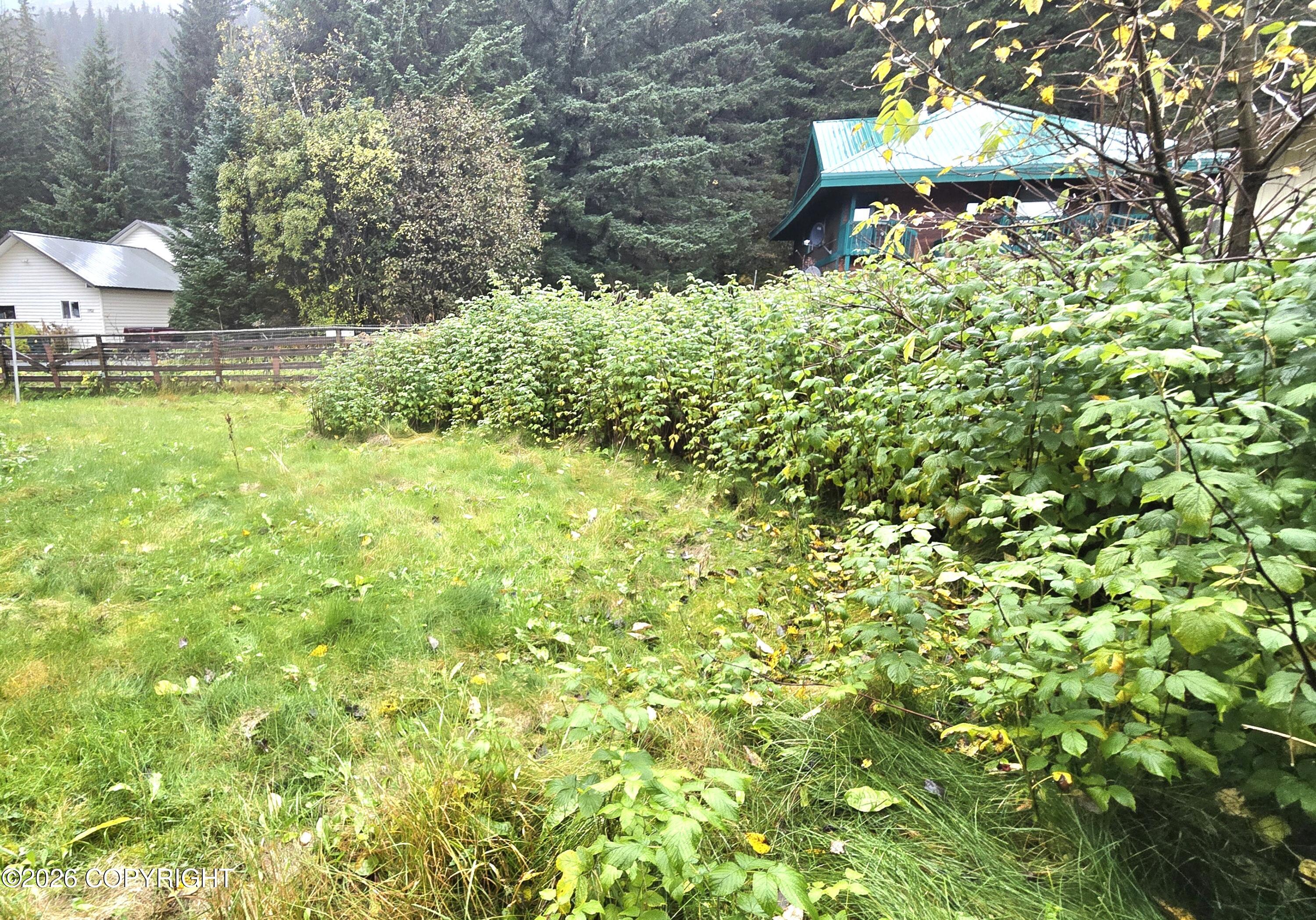 1705 Phoenix Road Property Photo 25