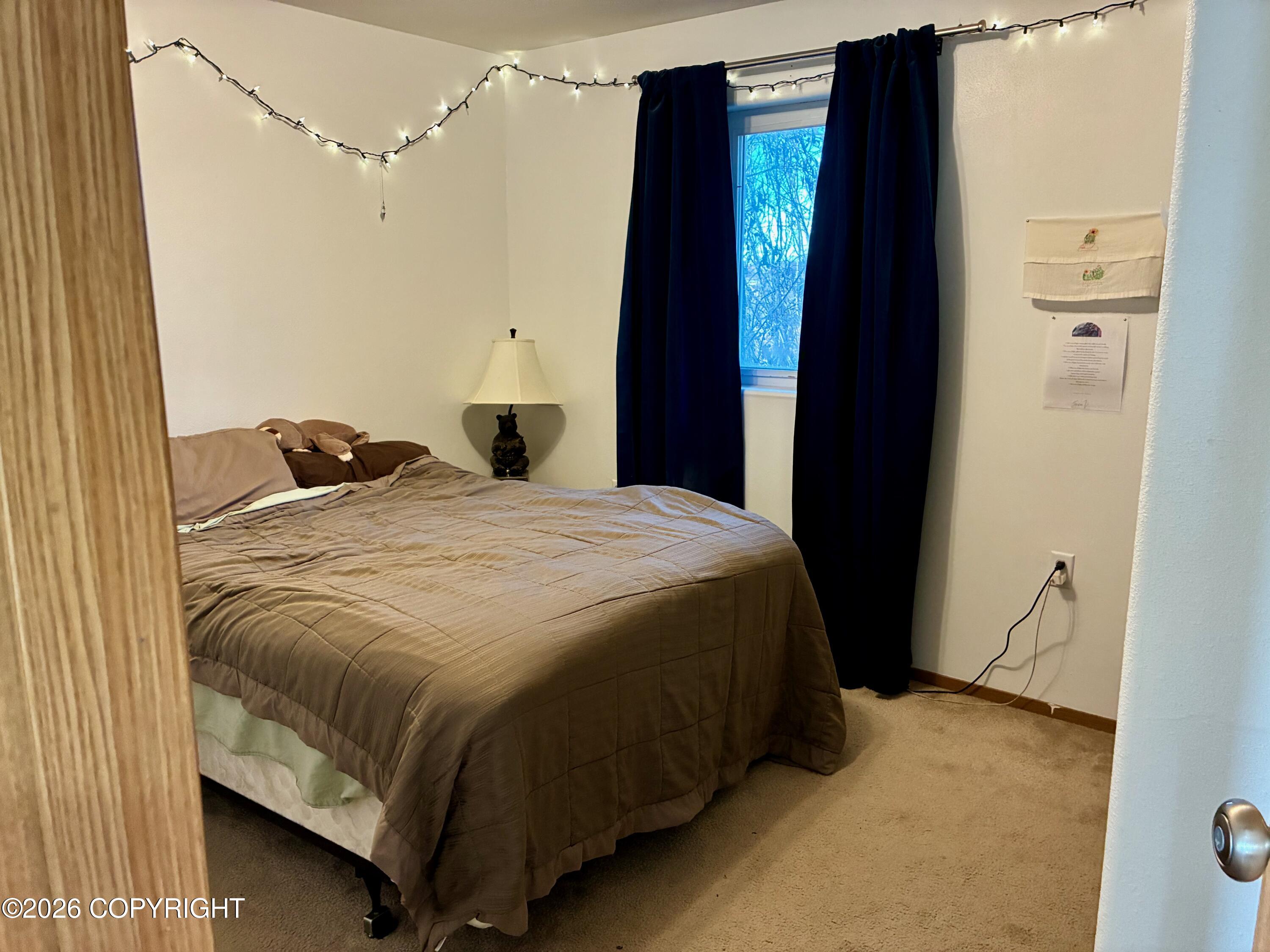 223 Akiak Drive Property Photo 18
