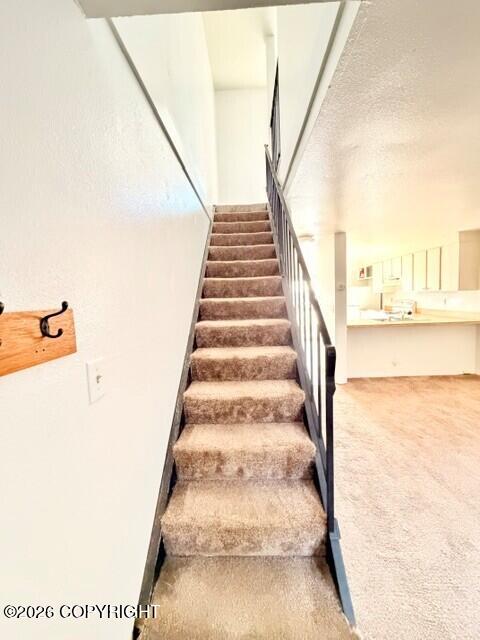 1820 Larch Street B4 Property Photo 24