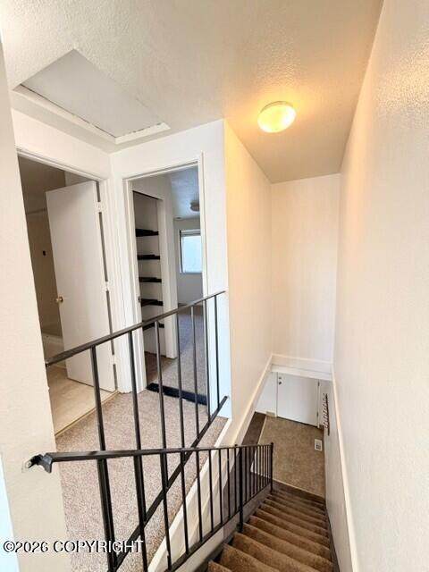 1820 Larch Street B4 Property Photo 26
