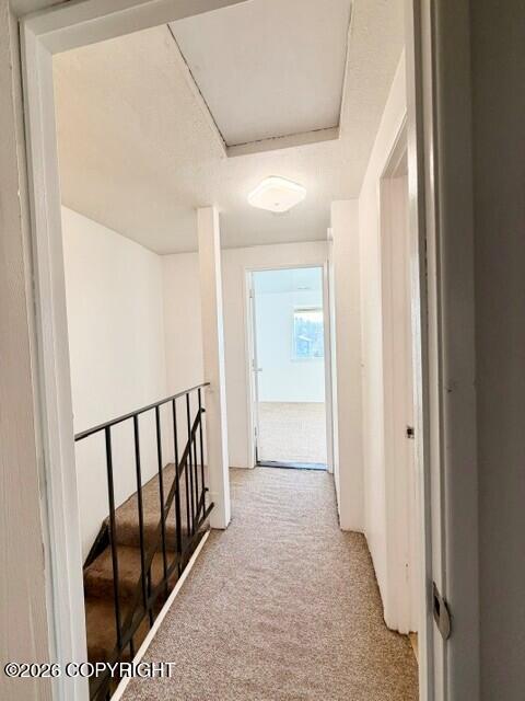 1820 Larch Street B4 Property Photo 28