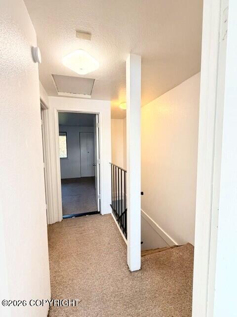 1820 Larch Street B4 Property Photo 29