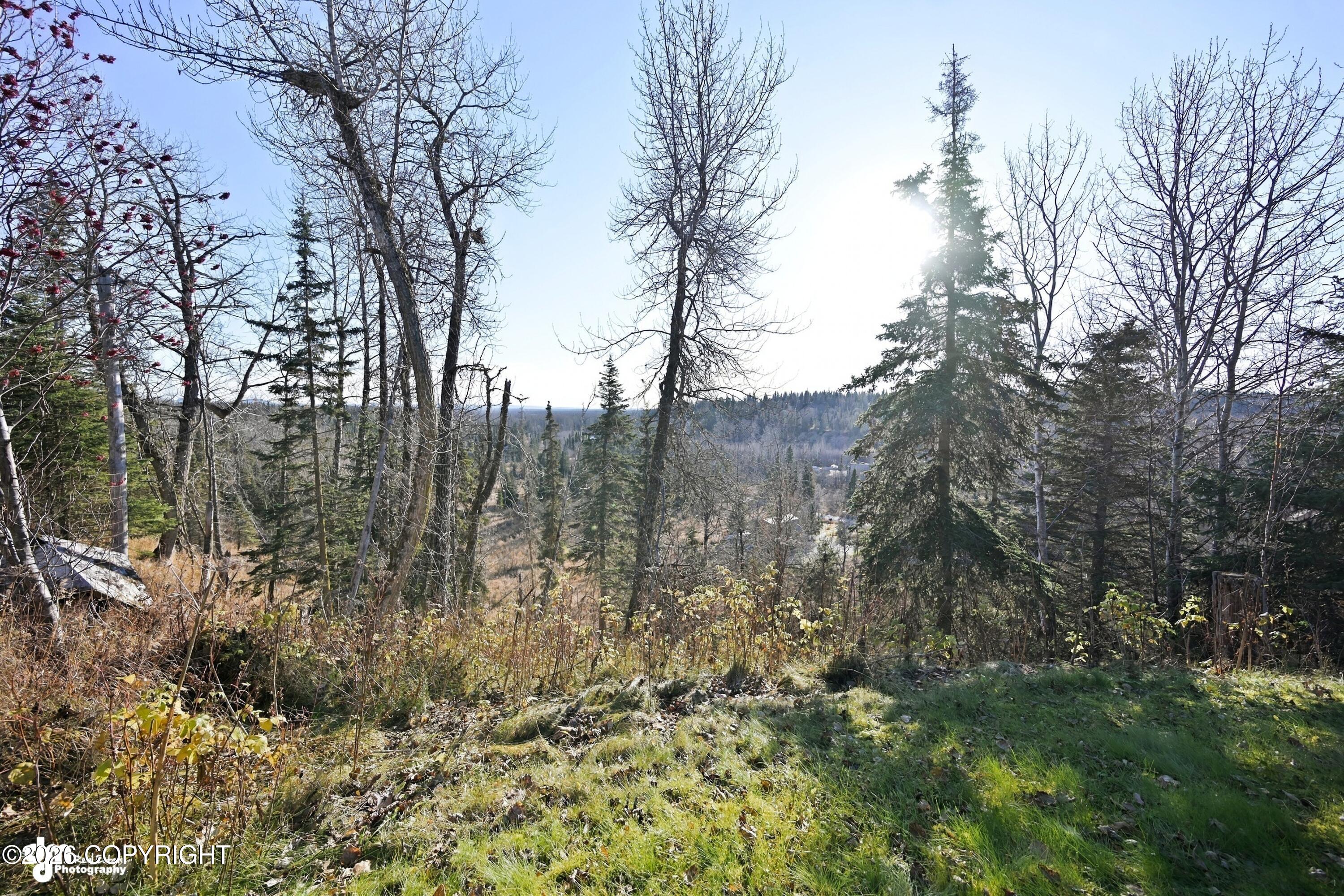 66285 Bluff Drive Property Photo 76