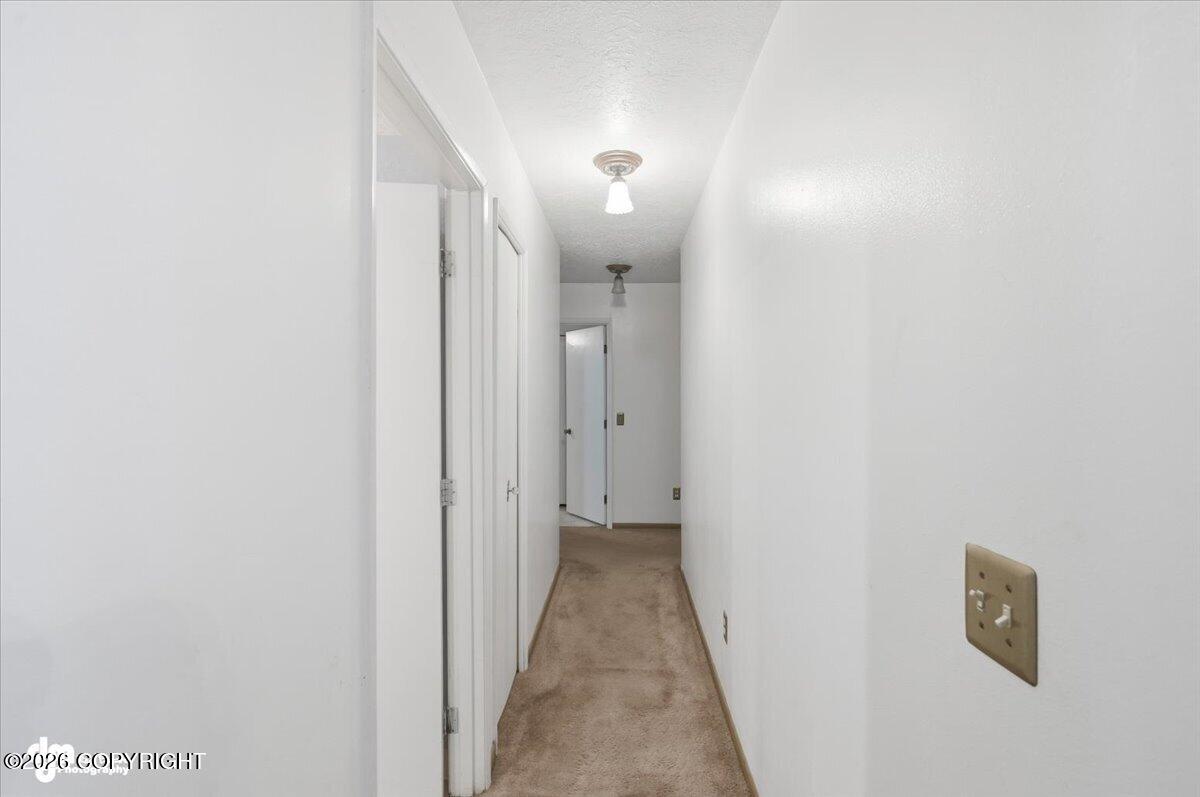 2560 E Parks Highway Property Photo 14