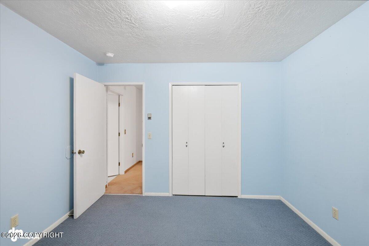 2560 E Parks Highway Property Photo 17