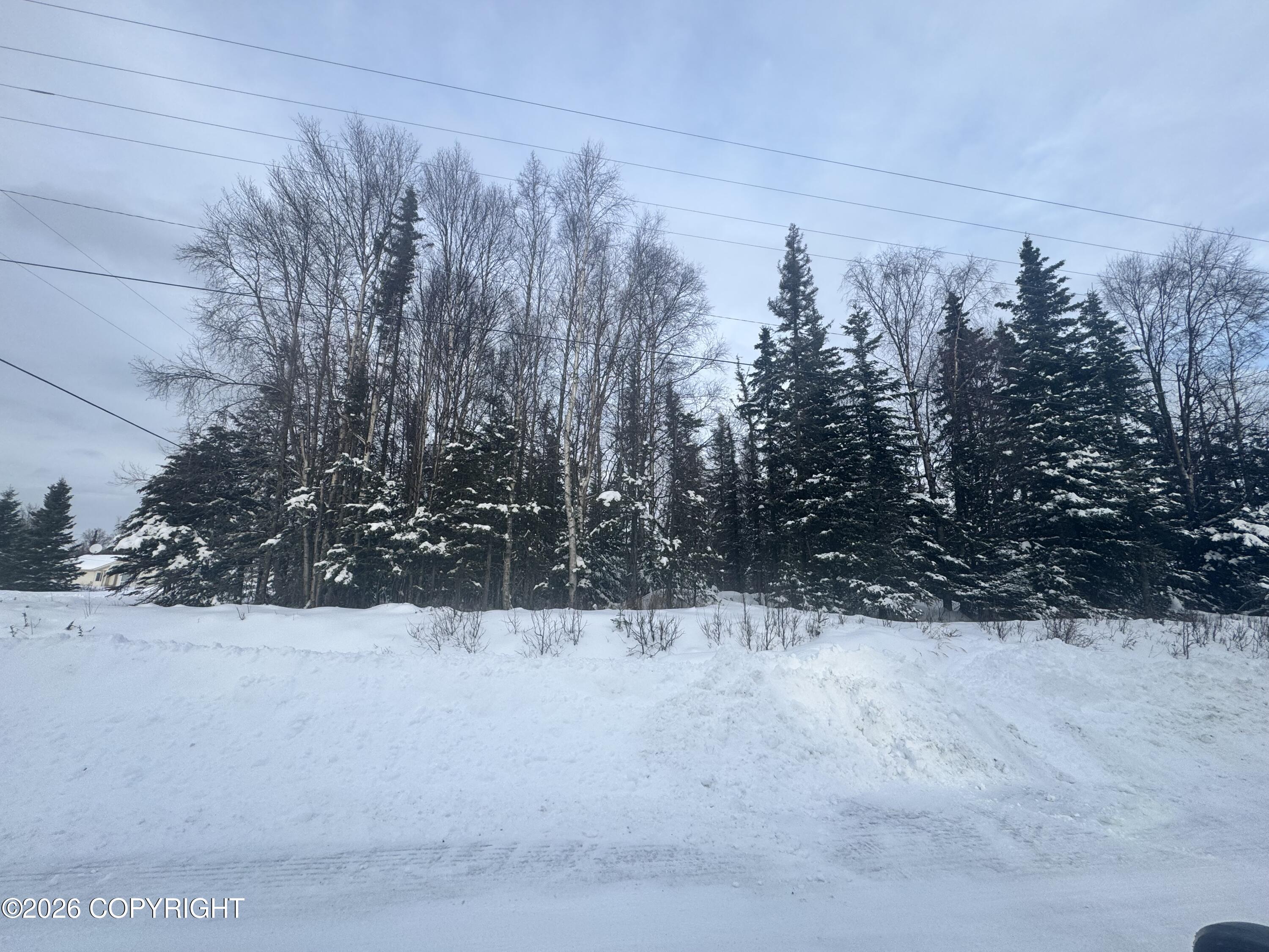 304 Birch Street Property Photo 2