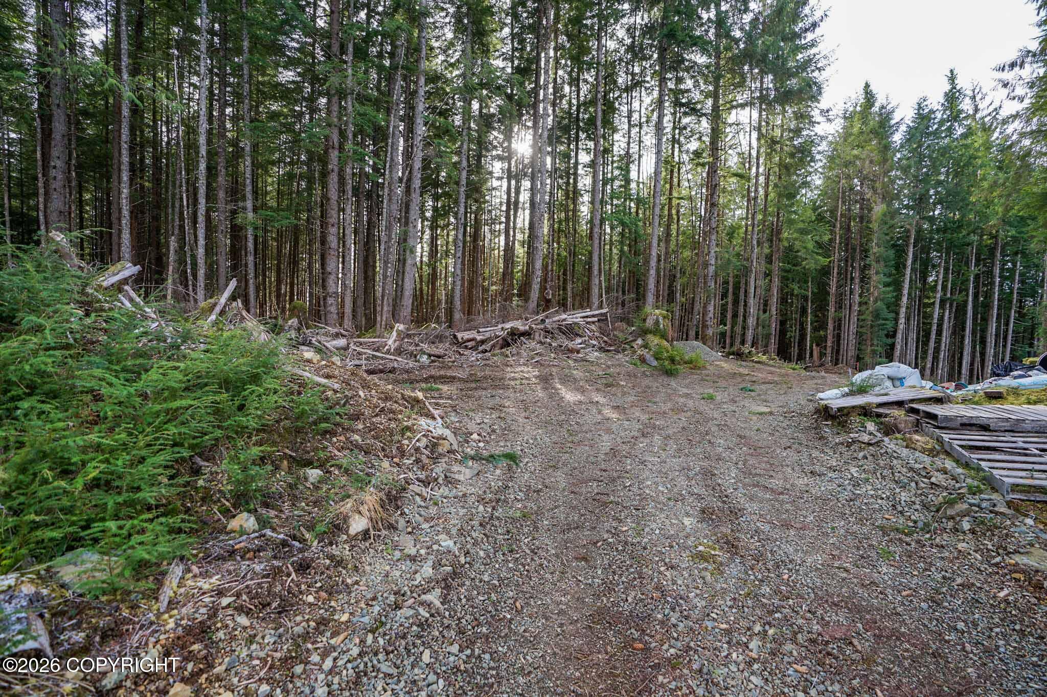 Lots 1 8&9 Jud Road Property Photo 29