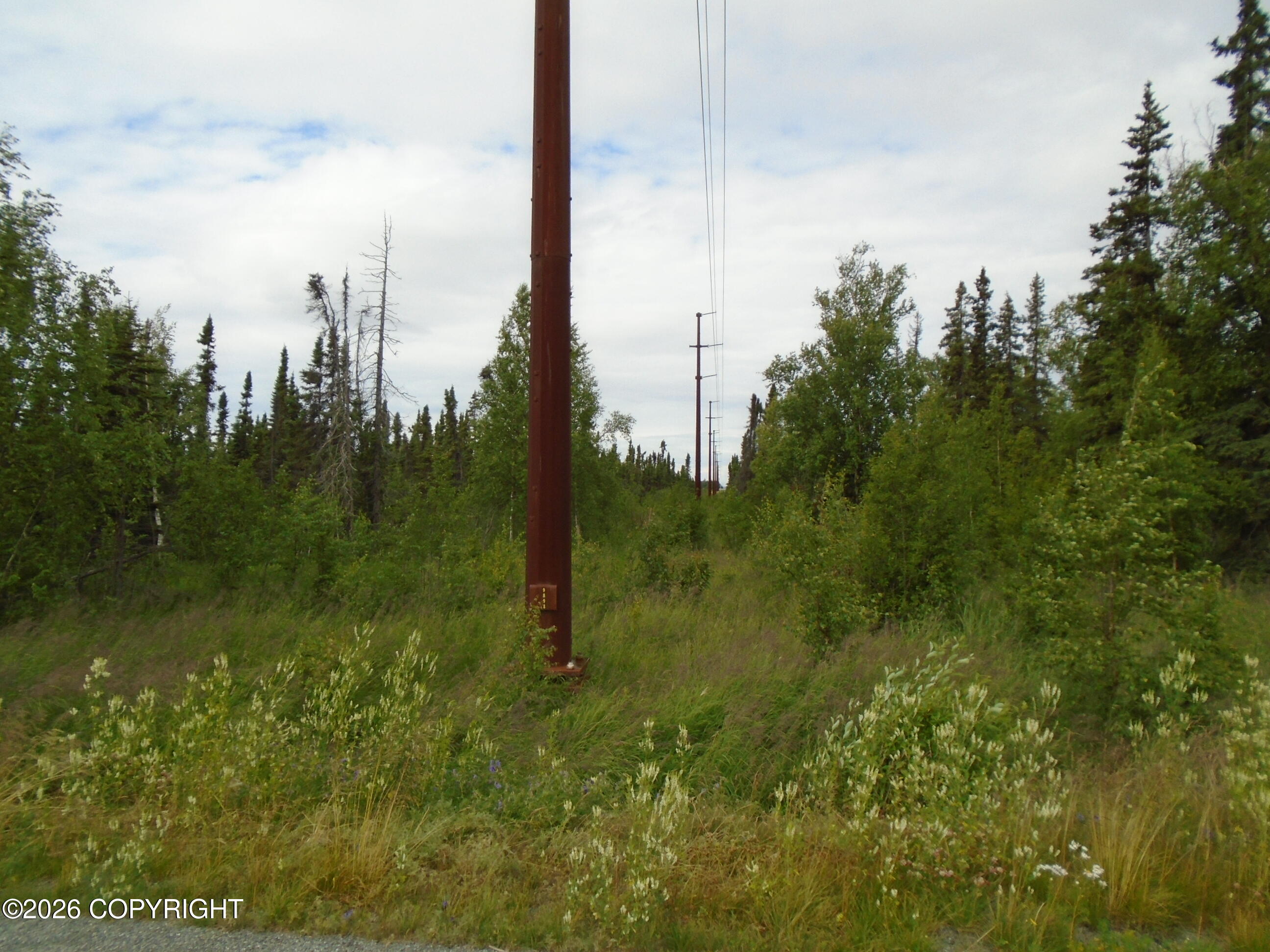 L2 Arctic Boulevard Property Photo 8