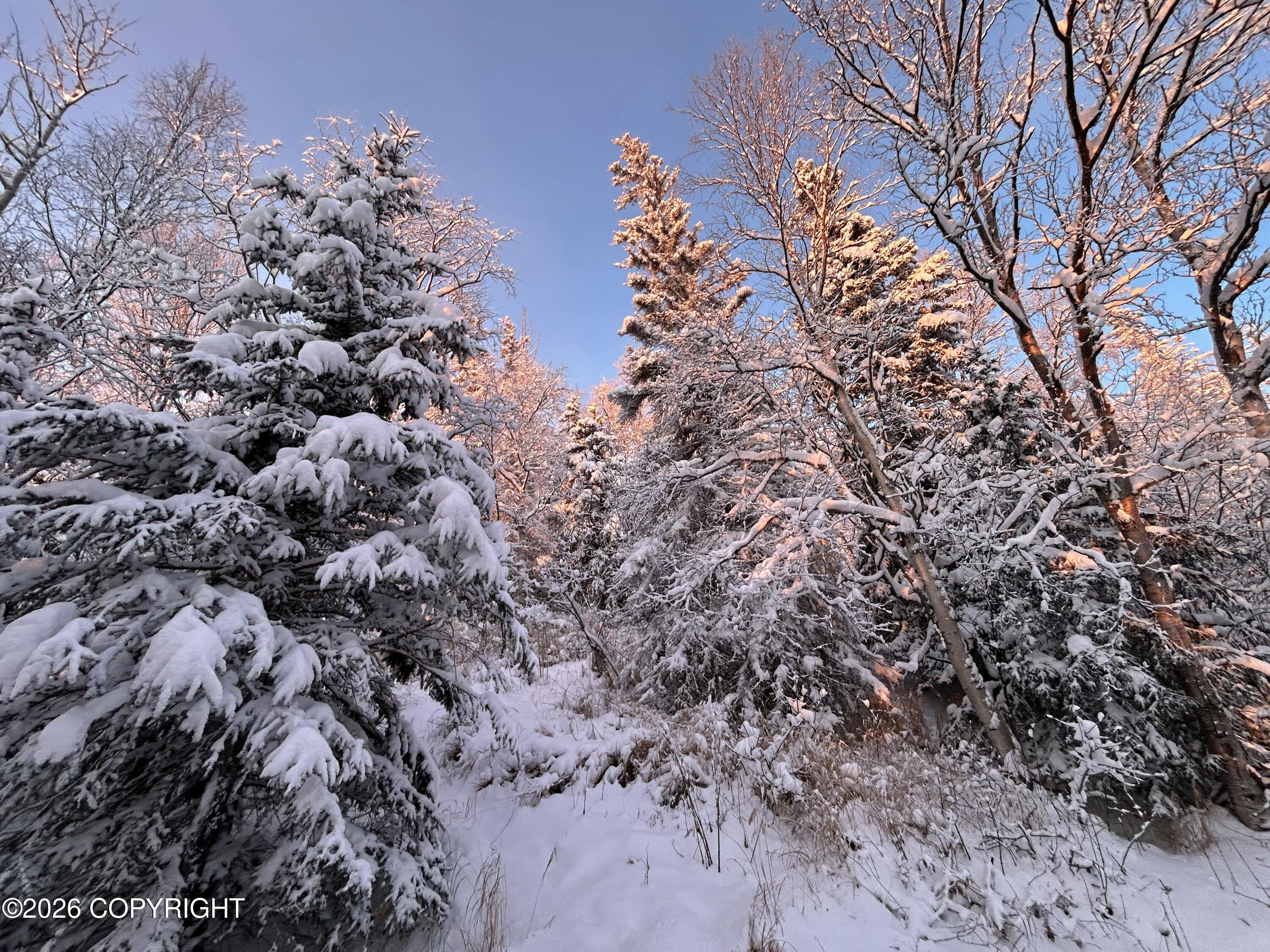 18919 Upper Skyline Drive Property Photo 20