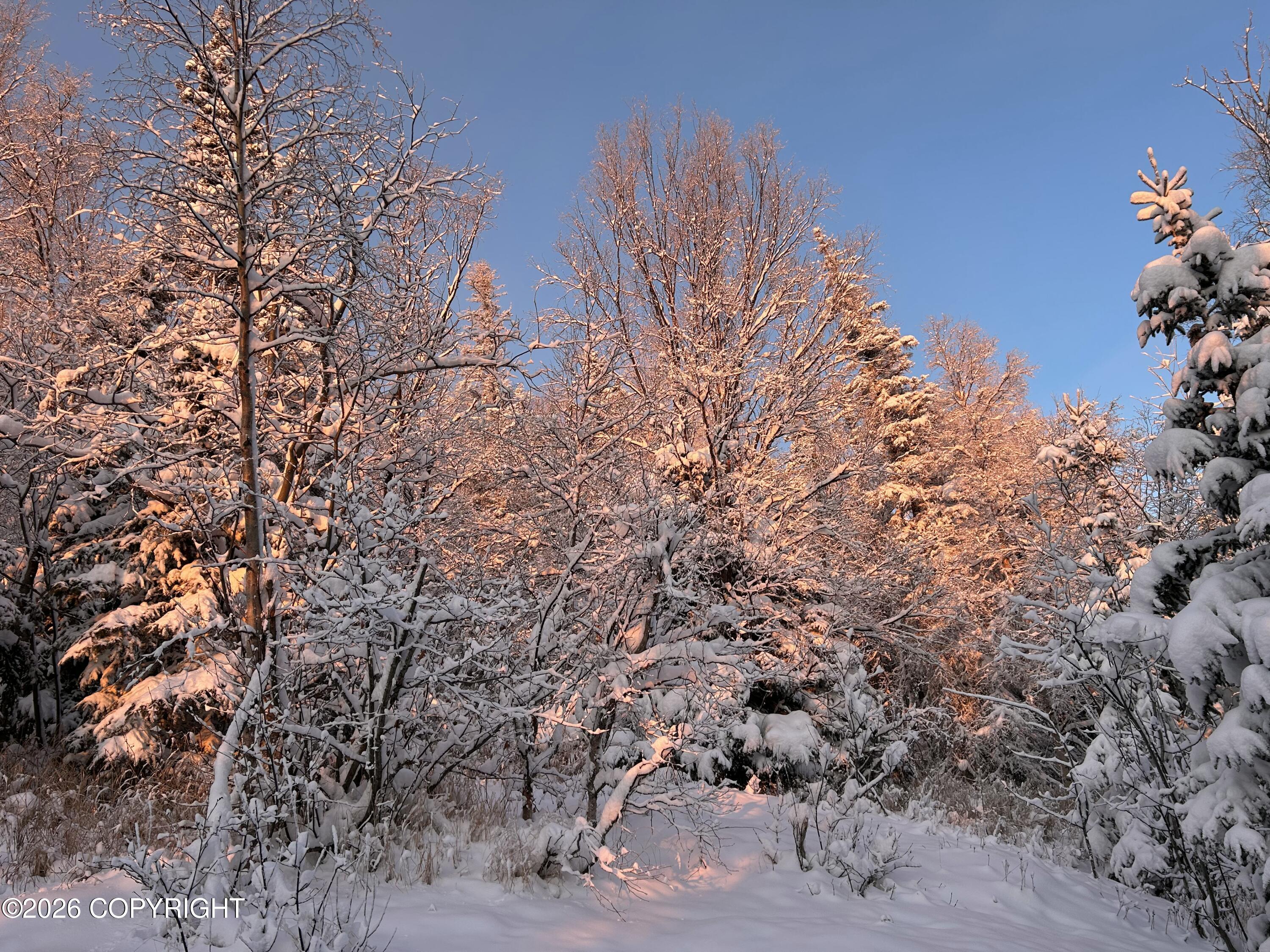 18919 Upper Skyline Drive Property Photo 24