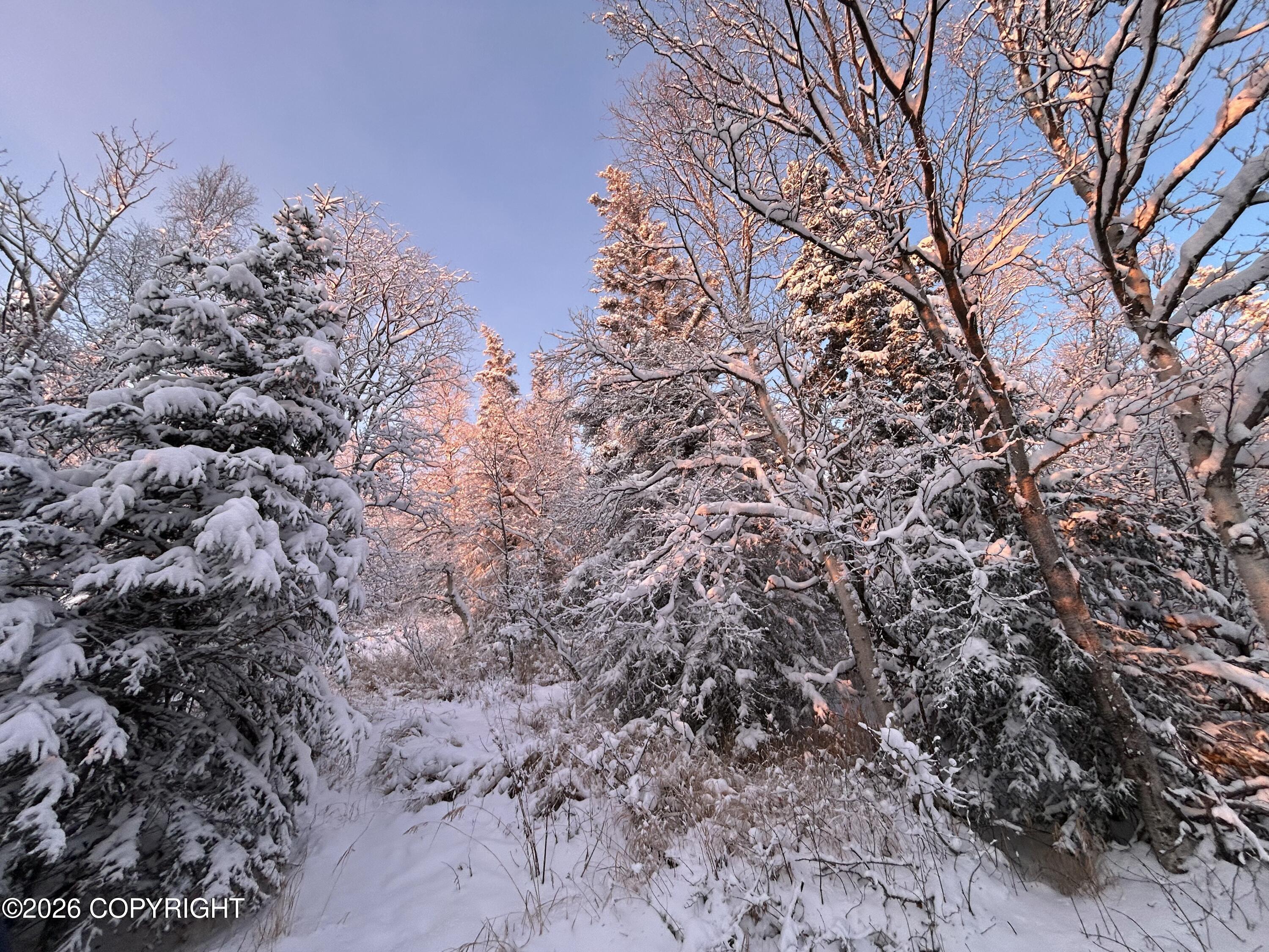 18919 Upper Skyline Drive Property Photo 25
