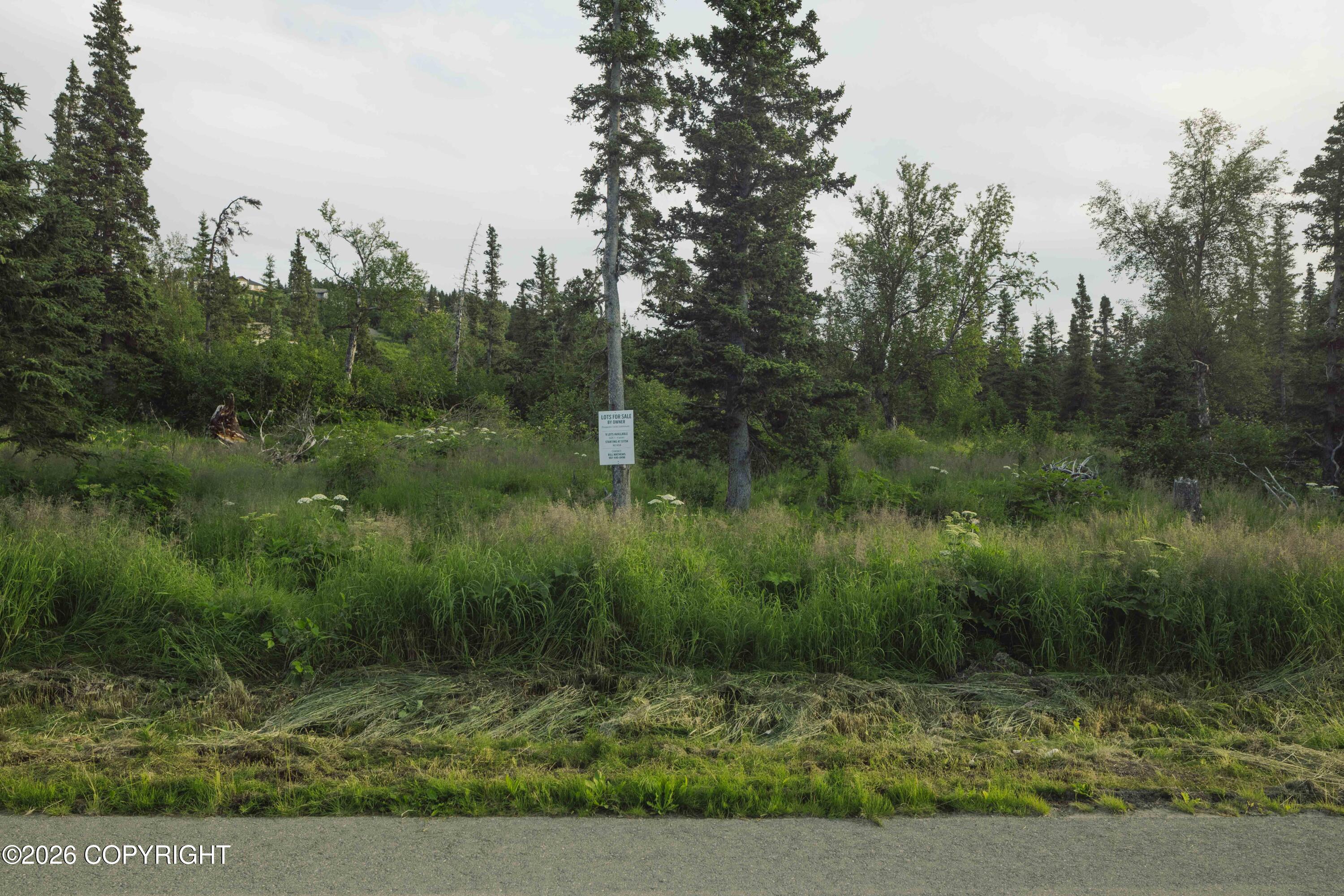 L4 & L5 Mountain Air Drive Property Photo 4