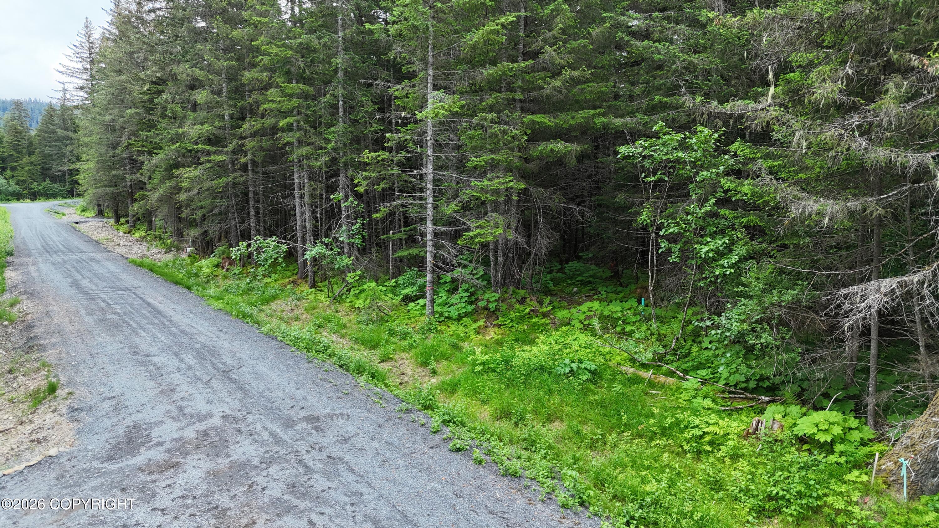 31885 Maxwell Court Property Photo 10